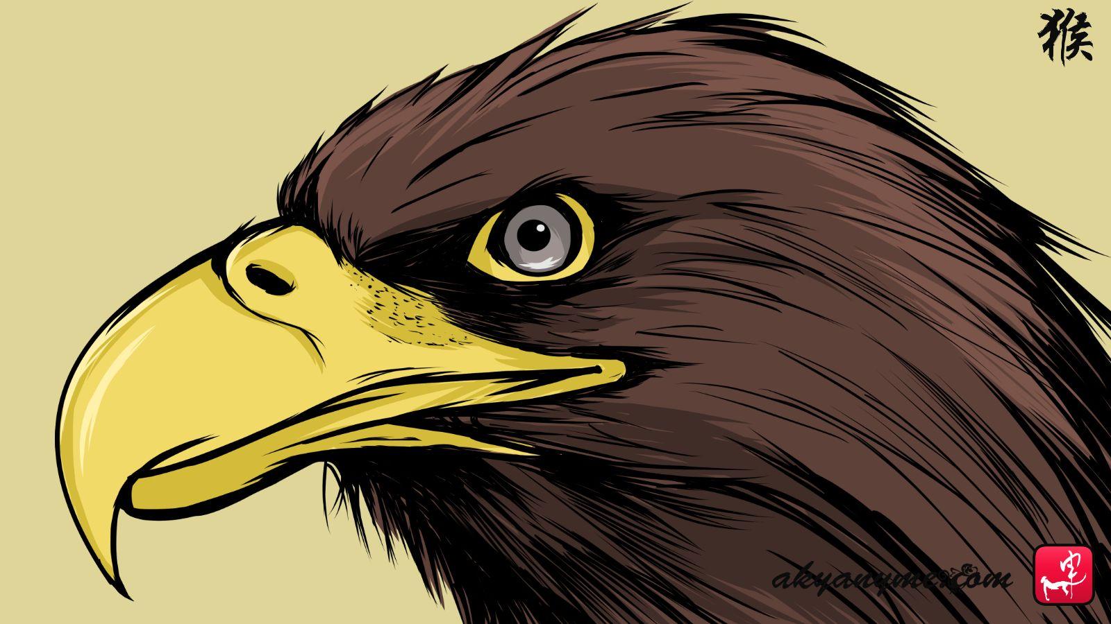 Aguilas Del America Wallpapers Top Free Aguilas Del America