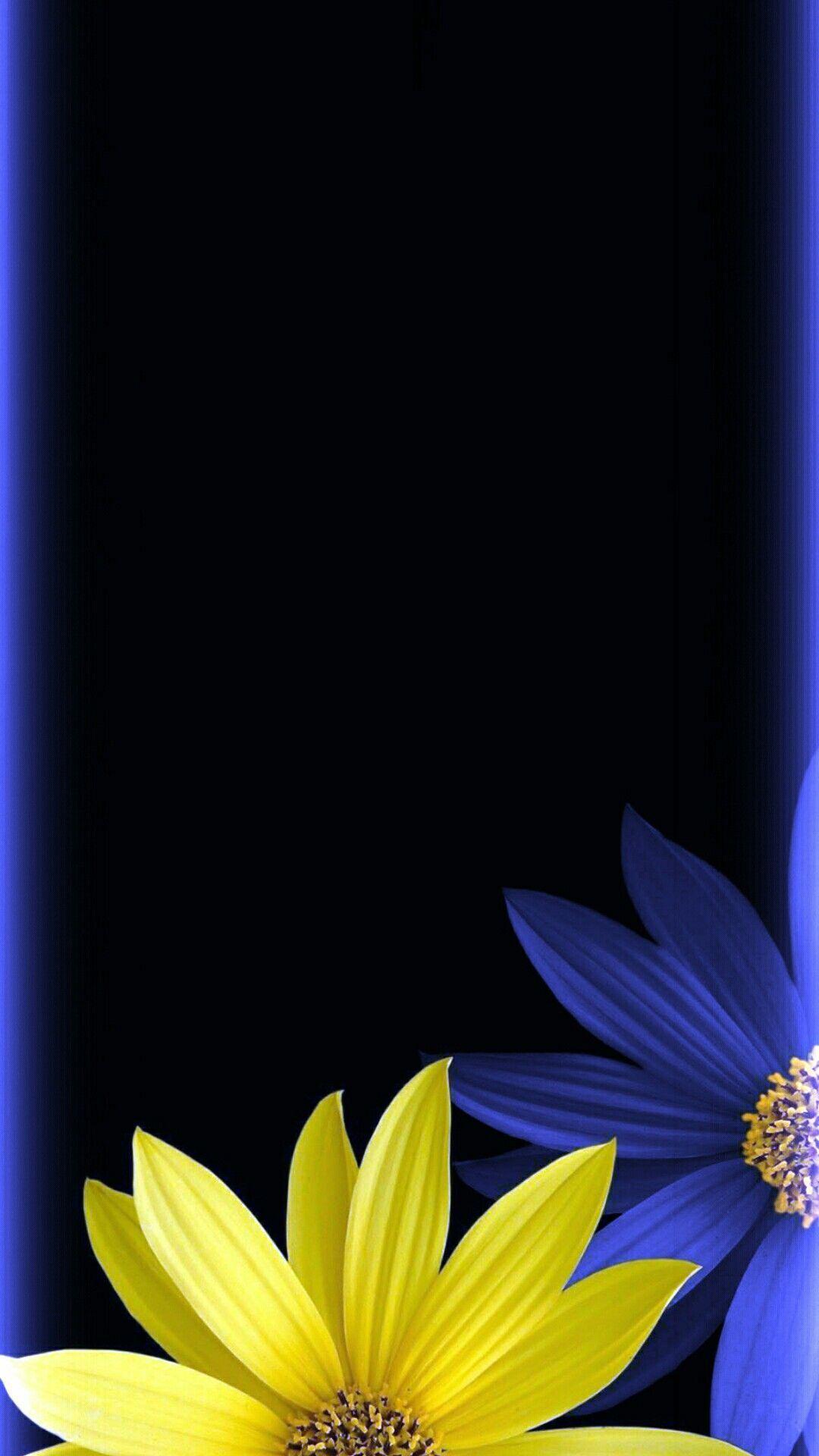 Black and Yellow Flower Wallpapers Top Free Black and Yellow Flower