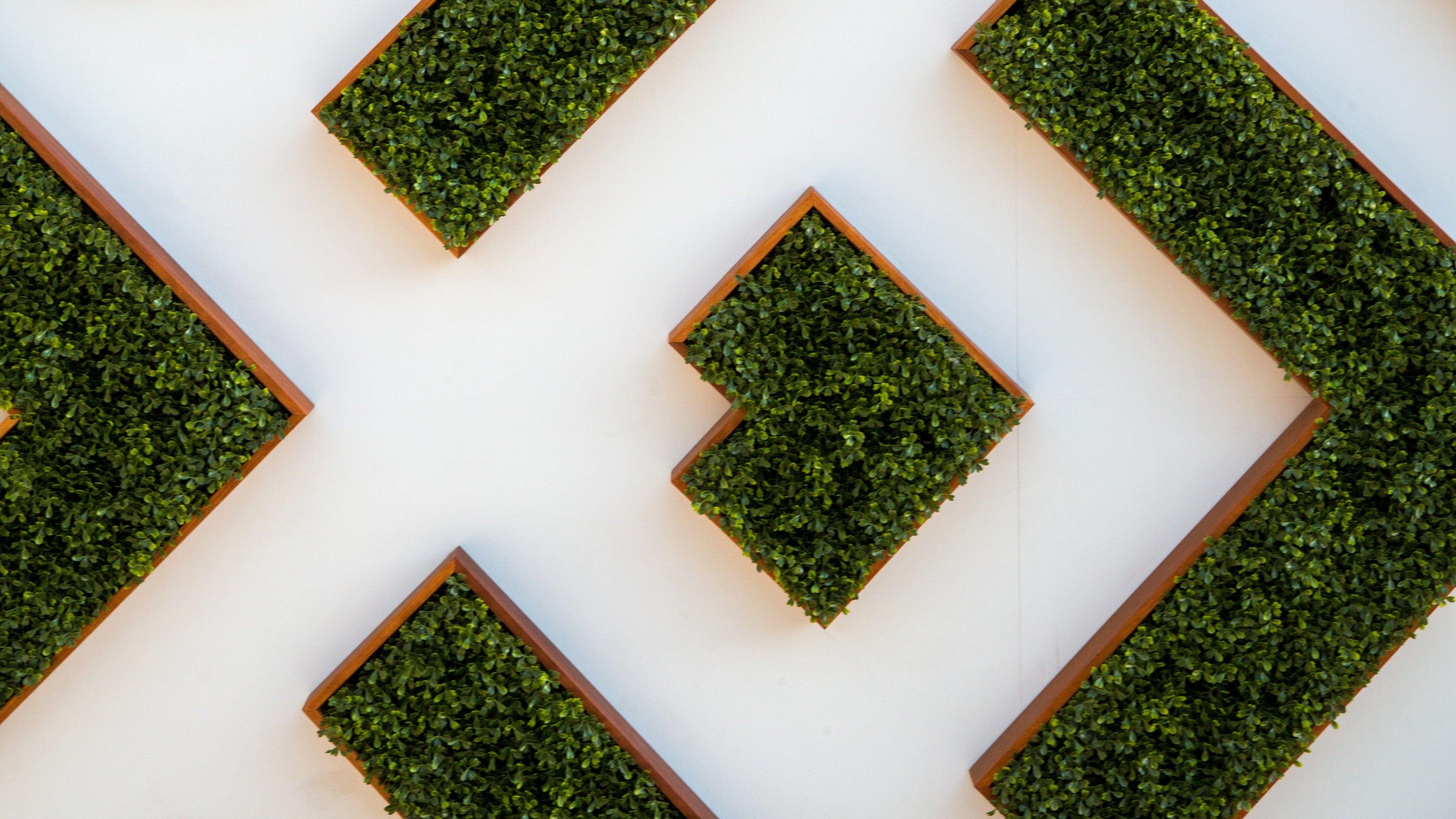 White Green Wallpapers Top Free White Green Backgrounds WallpaperAccess