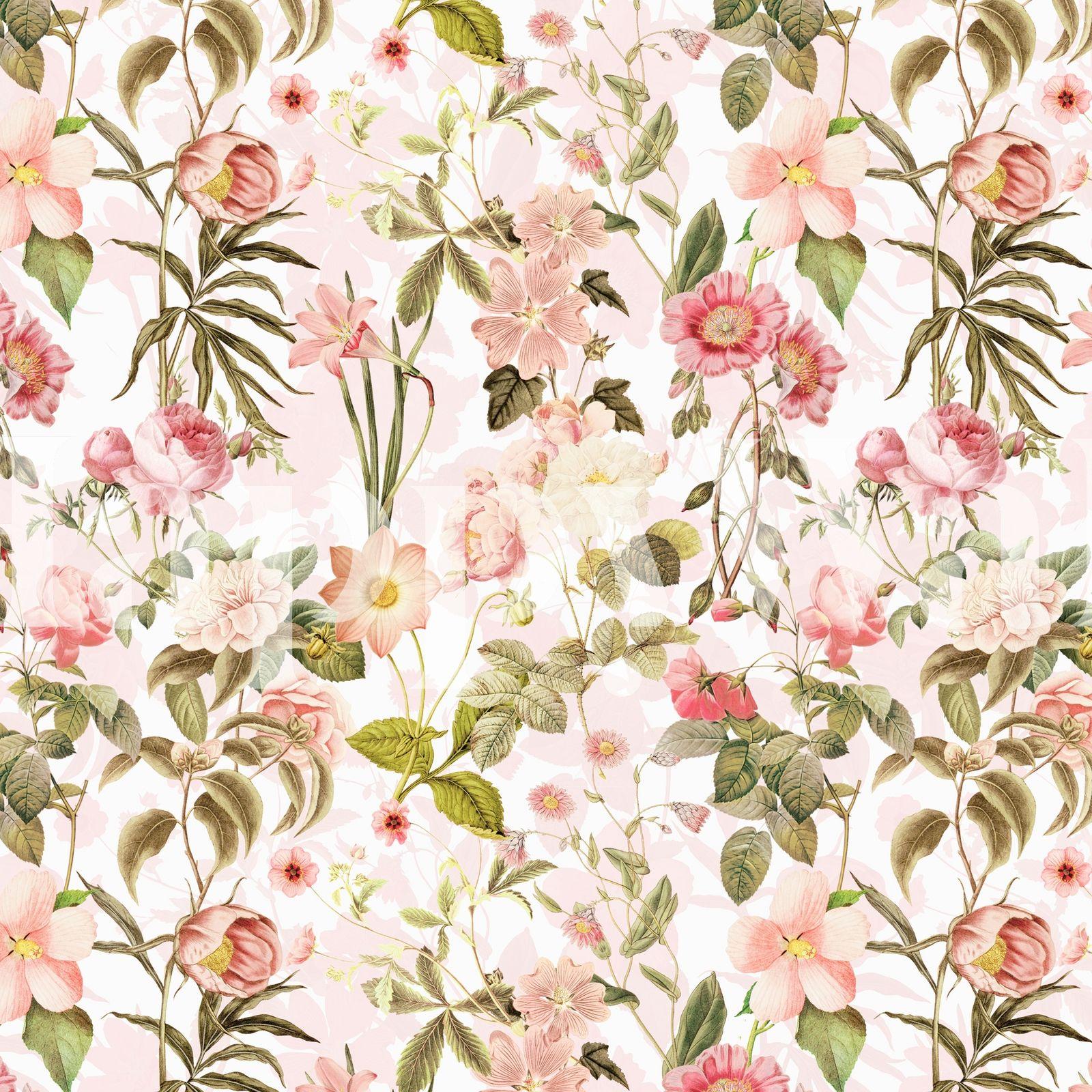 Blush Floral Wallpapers Top Free Blush Floral Backgrounds