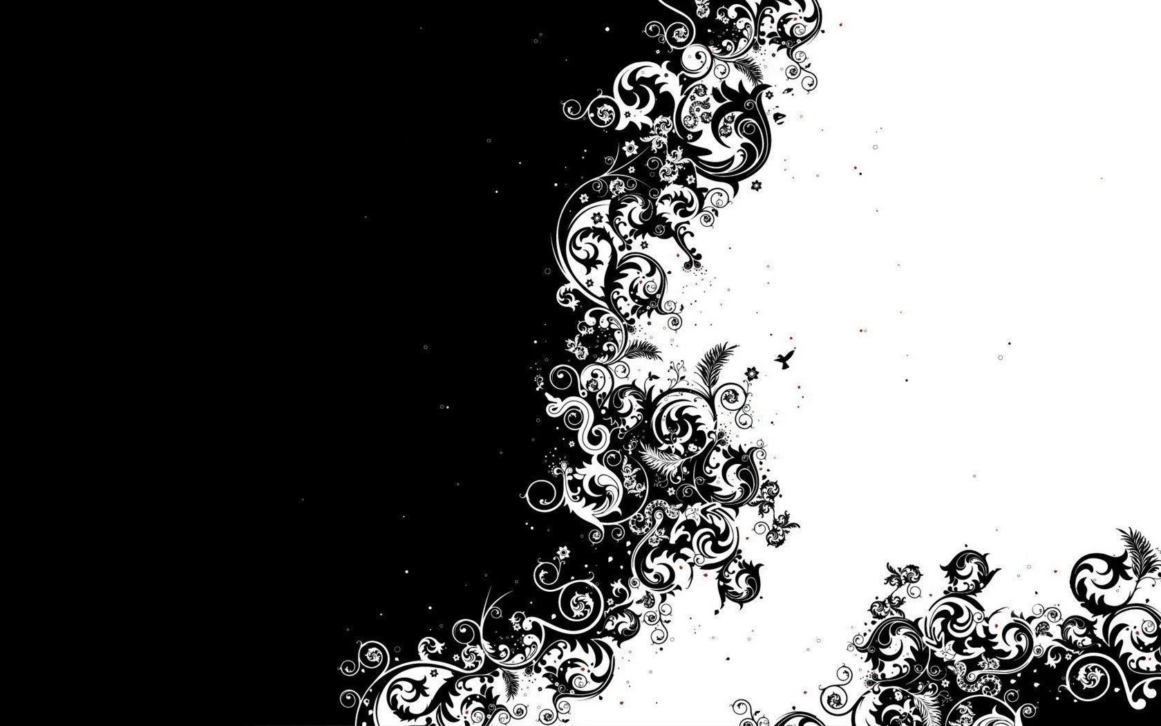 4K Black and White Wallpapers Top Free 4K Black and White Backgrounds