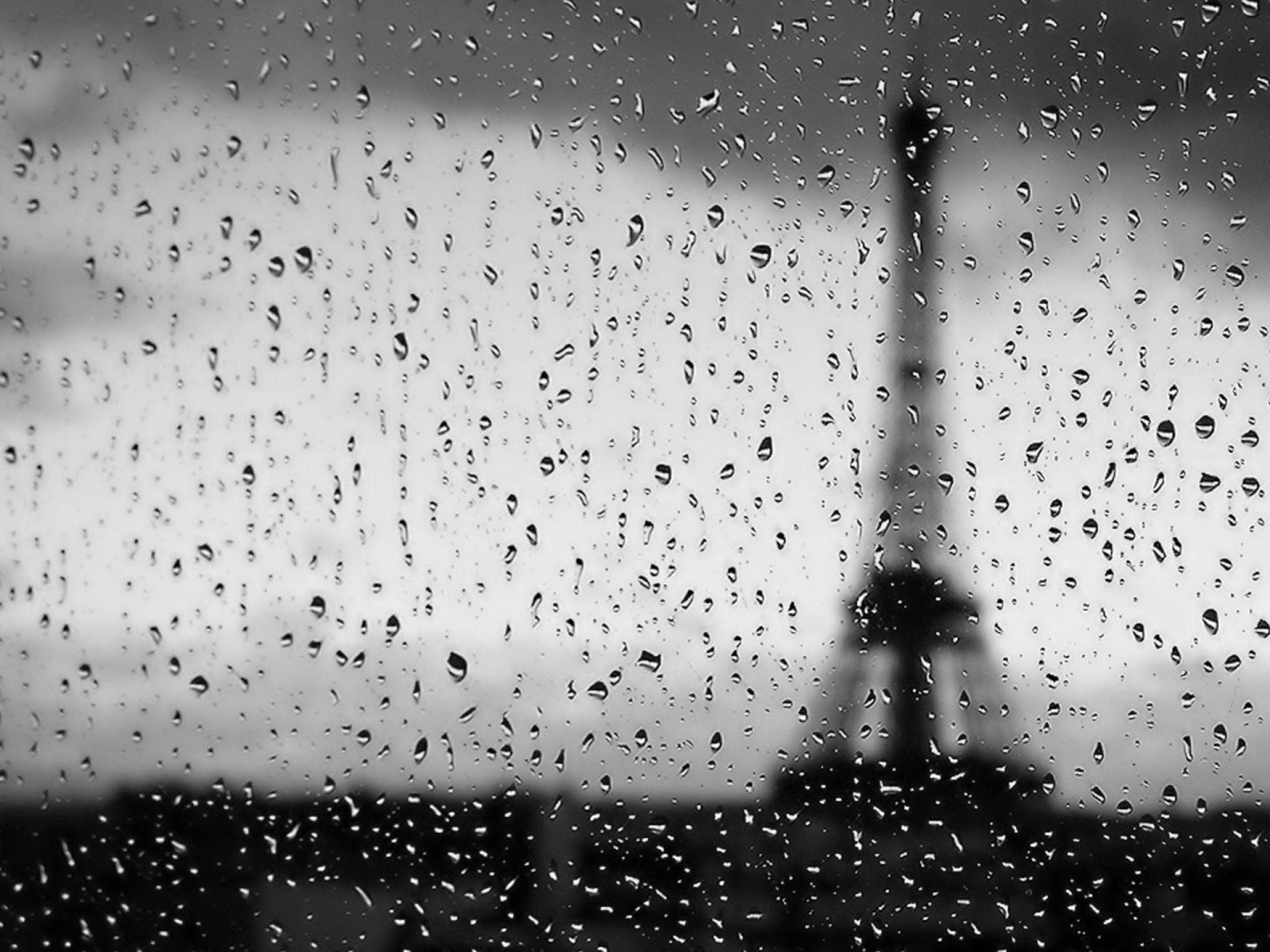 4K Black and White Wallpapers Top Free 4K Black and White Backgrounds