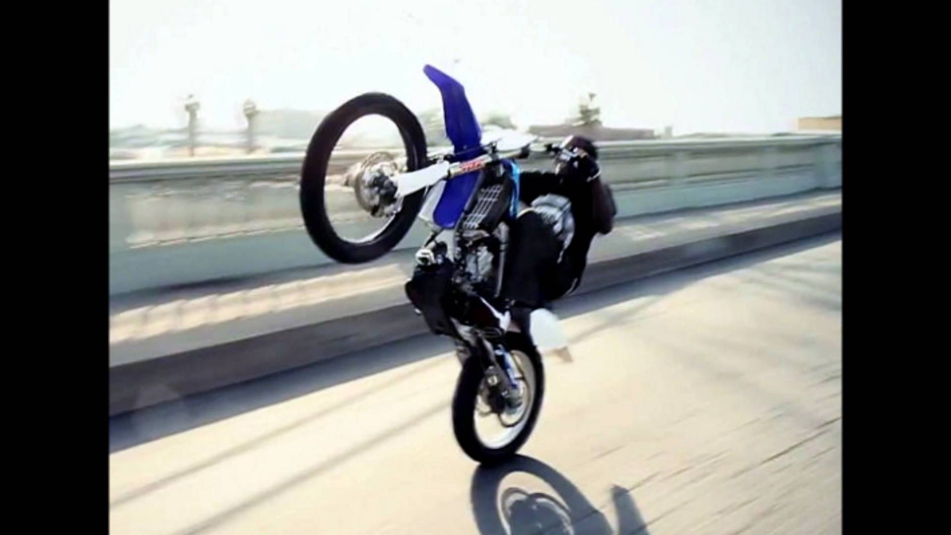 Wheelie Life