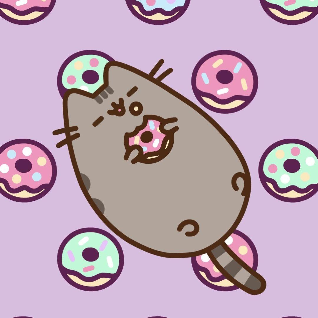 Cute Pusheen Cat Wallpapers Top Free Cute Pusheen Cat Backgrounds