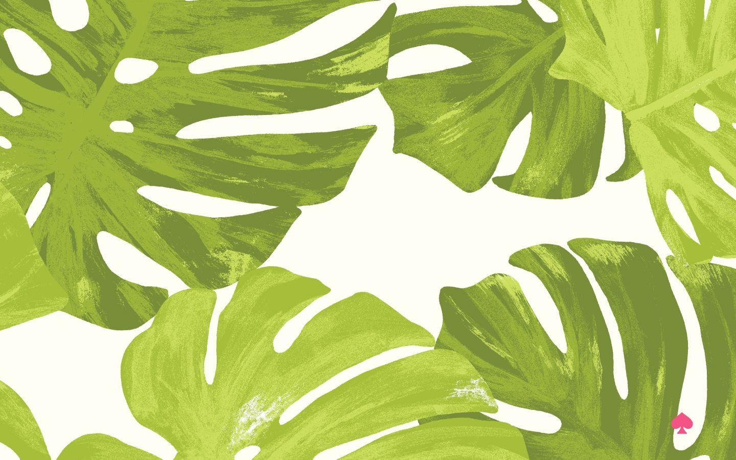 Botanical Desktop Wallpapers Top Free Botanical Desktop Backgrounds