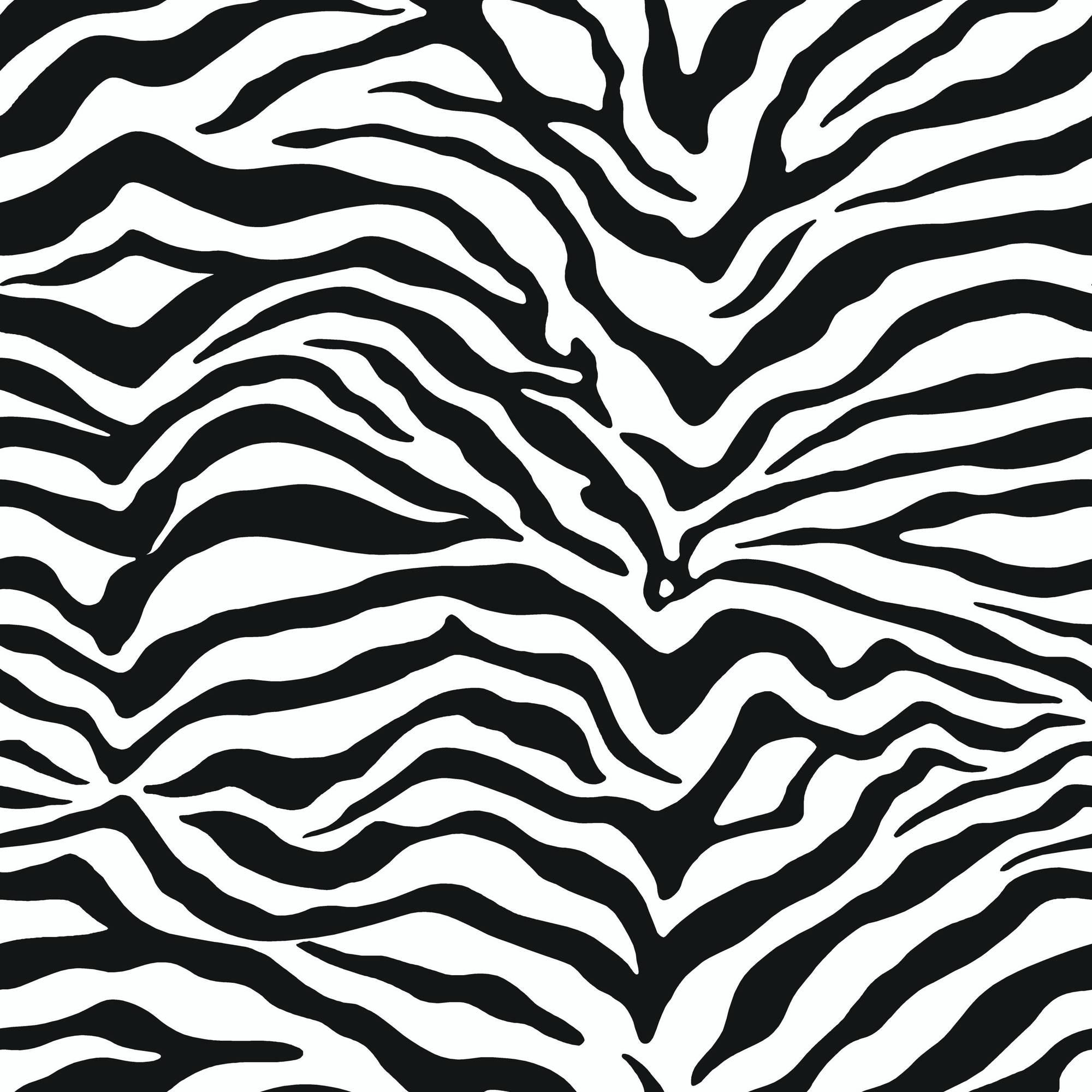 Black and White Print Wallpapers Top Free Black and White Print
