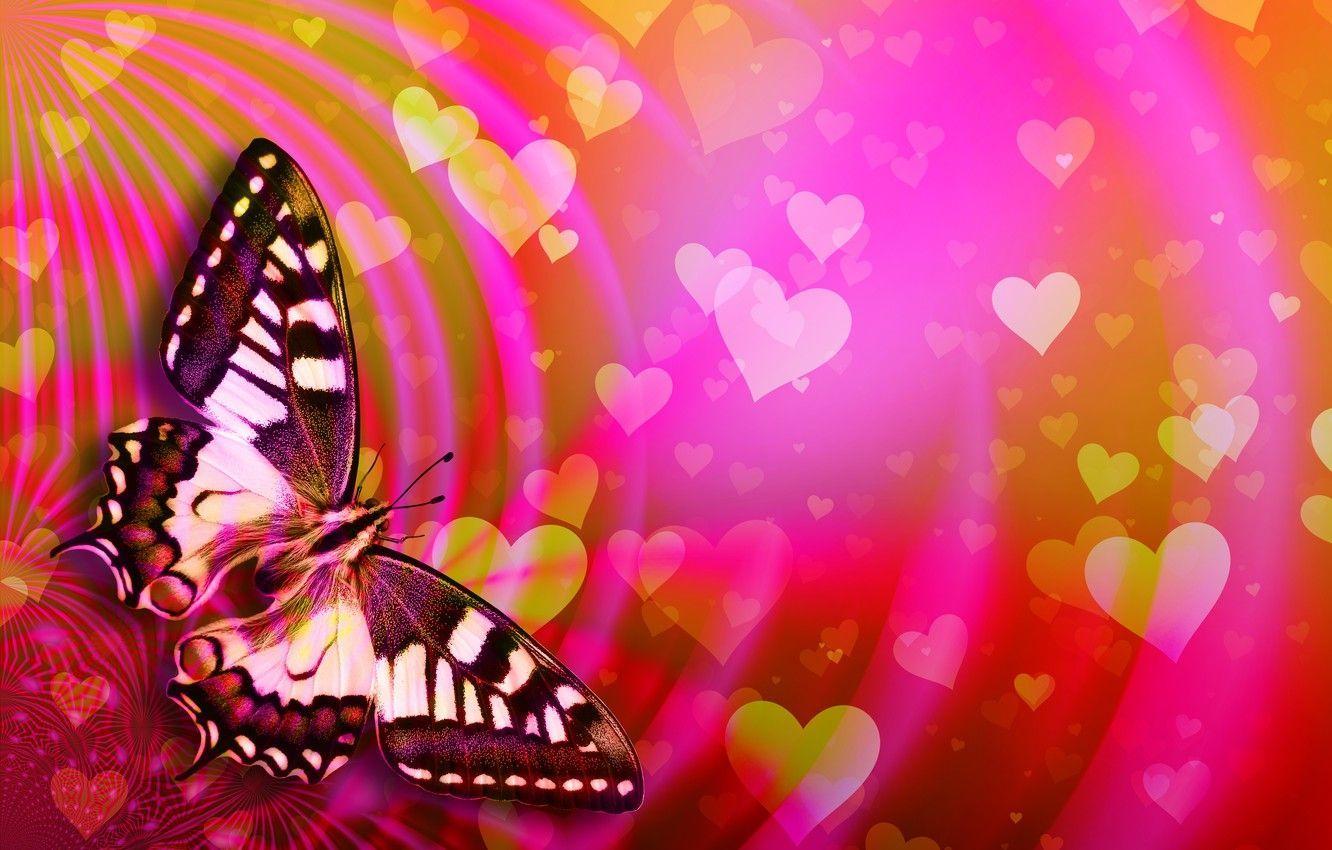 Hearts and Butterflies Desktop Wallpapers Top Free Hearts and