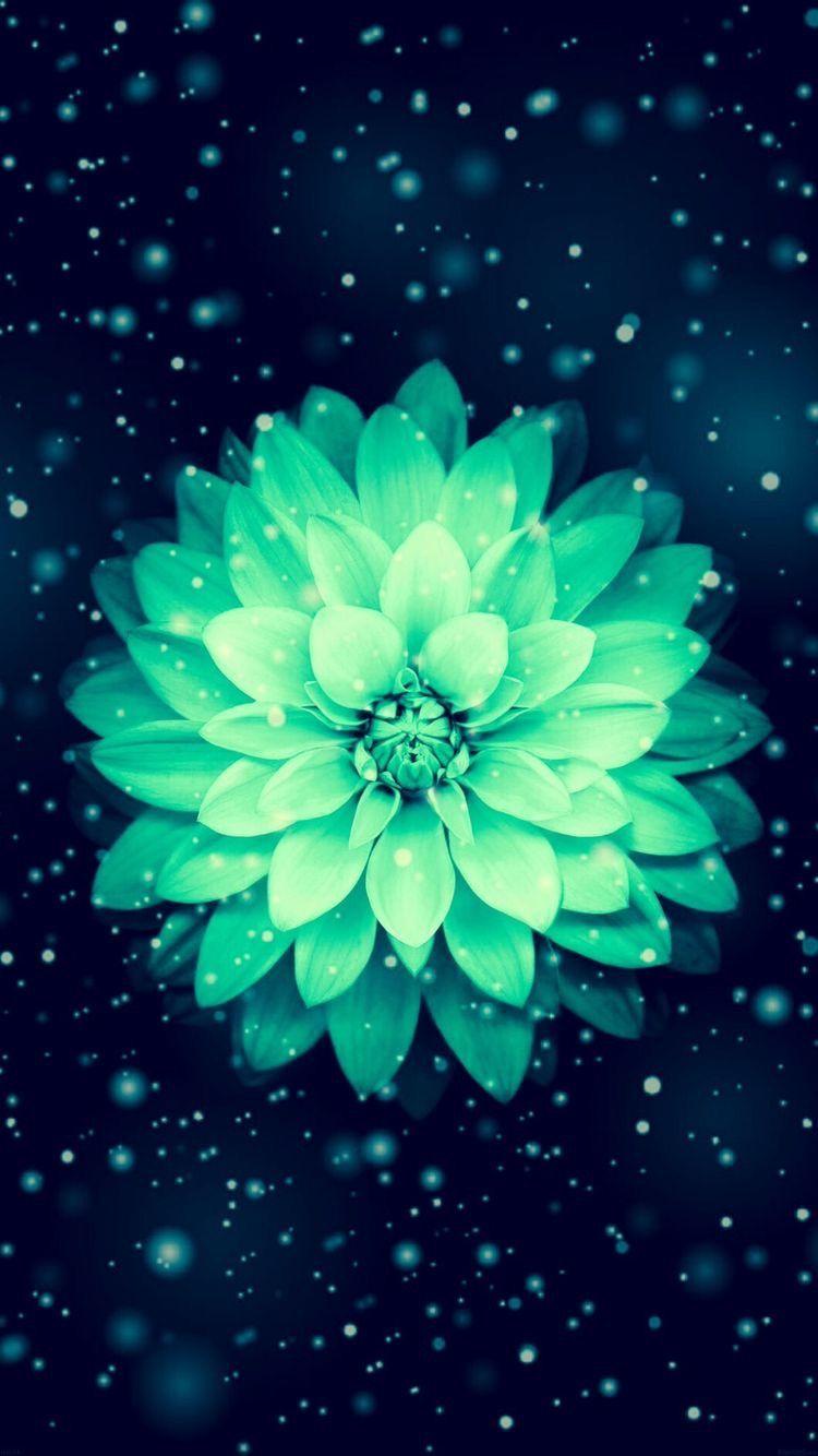 Cute Green iPhone Wallpapers Top Free Cute Green iPhone Backgrounds