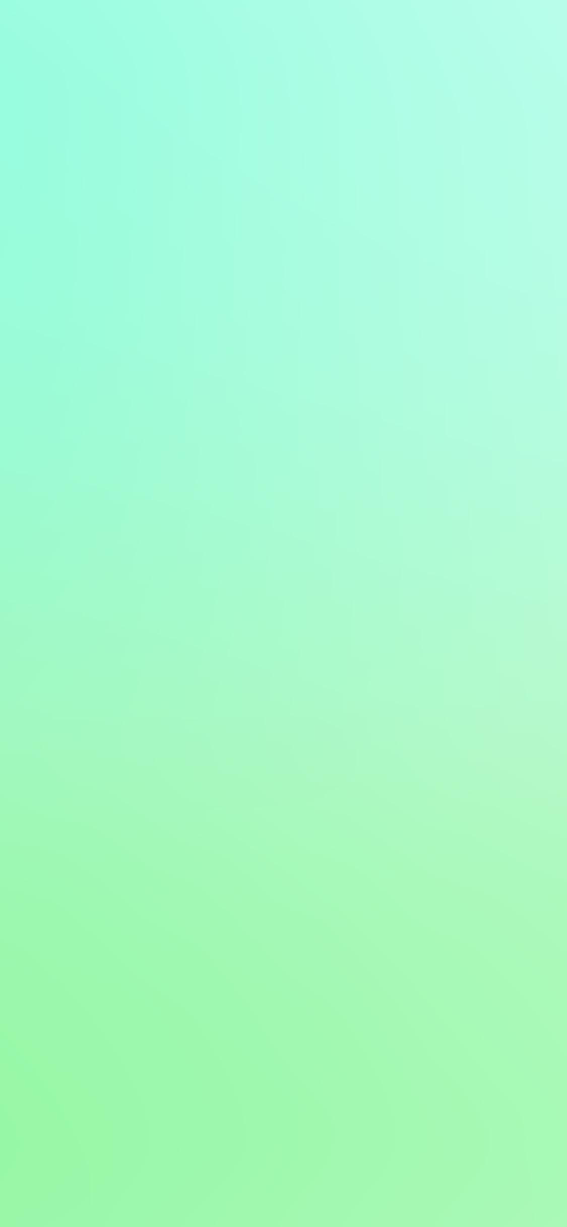 Mint and White Wallpapers Top Free Mint and White Backgrounds