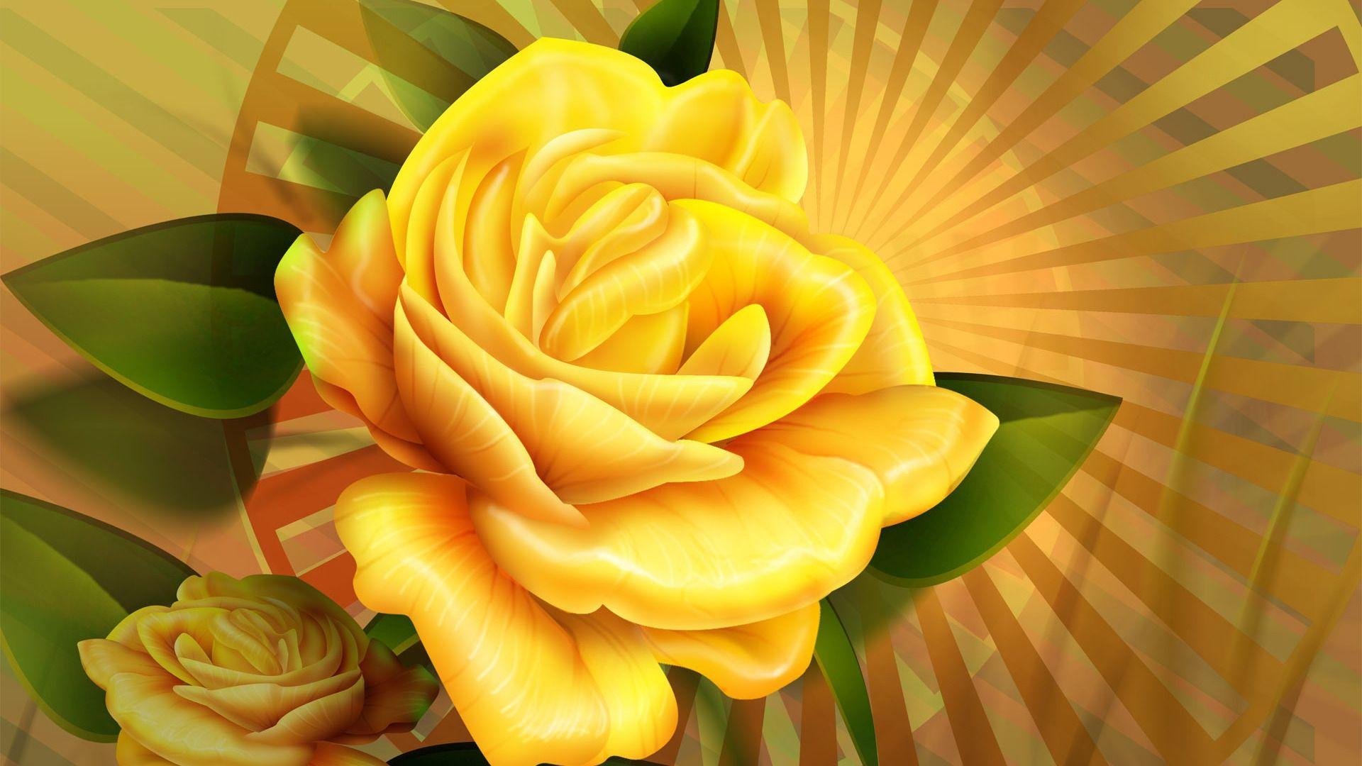 Yellow Rose HD Wallpapers Top Free Yellow Rose HD Backgrounds