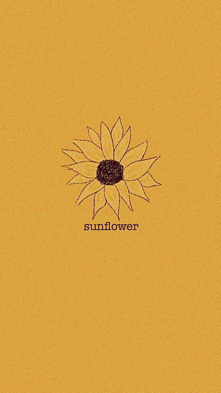 Cute Yellow Sunflower Wallpapers Top Free Cute Yellow Sunflower