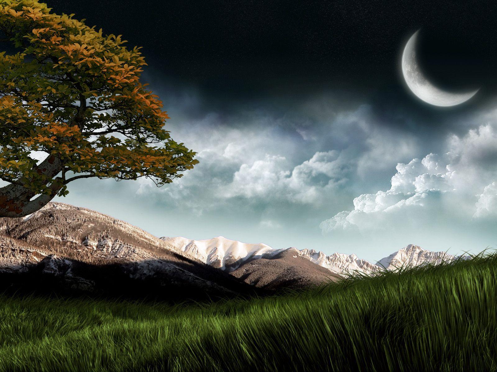 Nokia Nature Wallpapers Top Free Nokia Nature Backgrounds