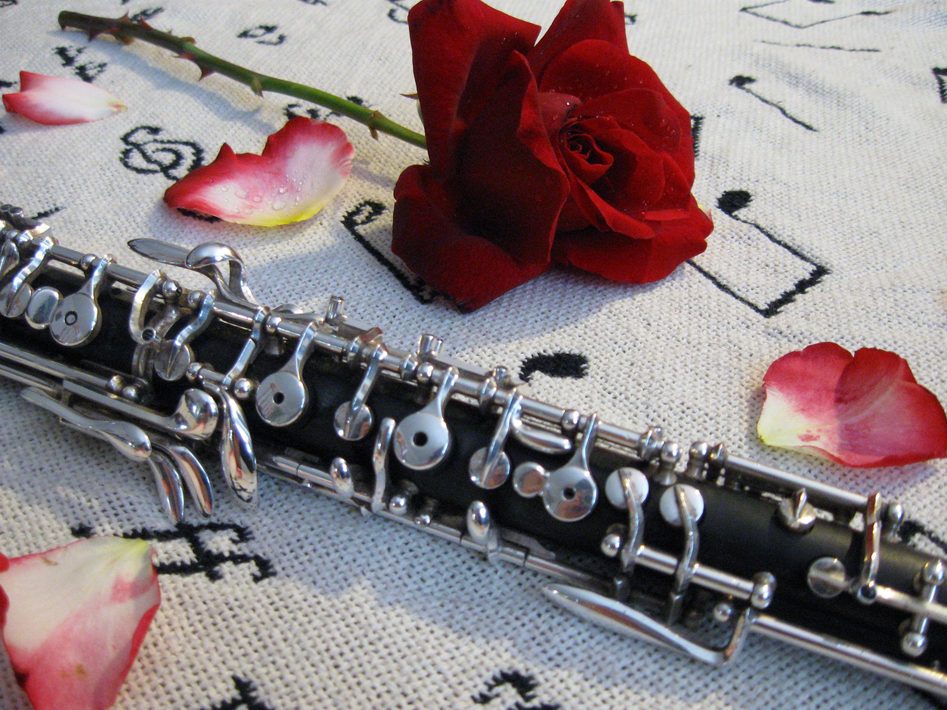 Oboe Wallpapers Top Free Oboe Backgrounds WallpaperAccess