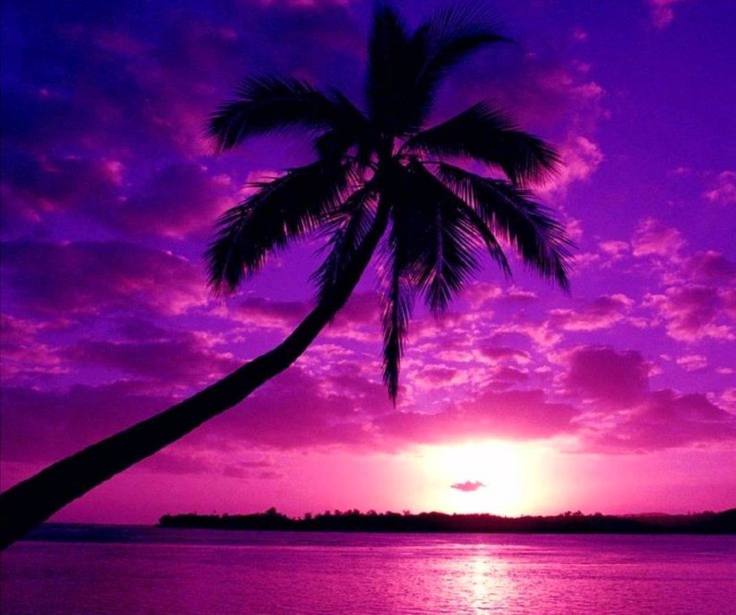 Ocean Purple Sunset Wallpapers Top Free Ocean Purple Sunset