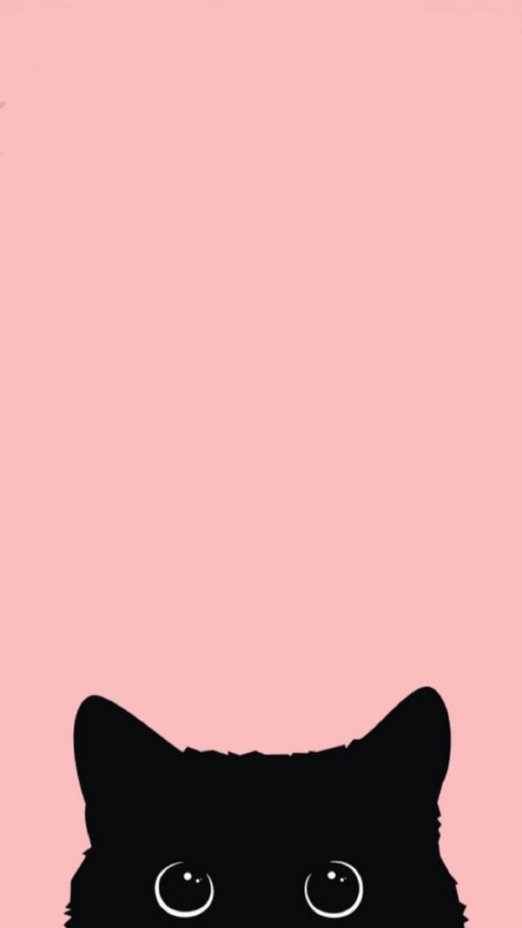 Cute Pink Cat Wallpapers Top Free Cute Pink Cat Backgrounds WallpaperAccess