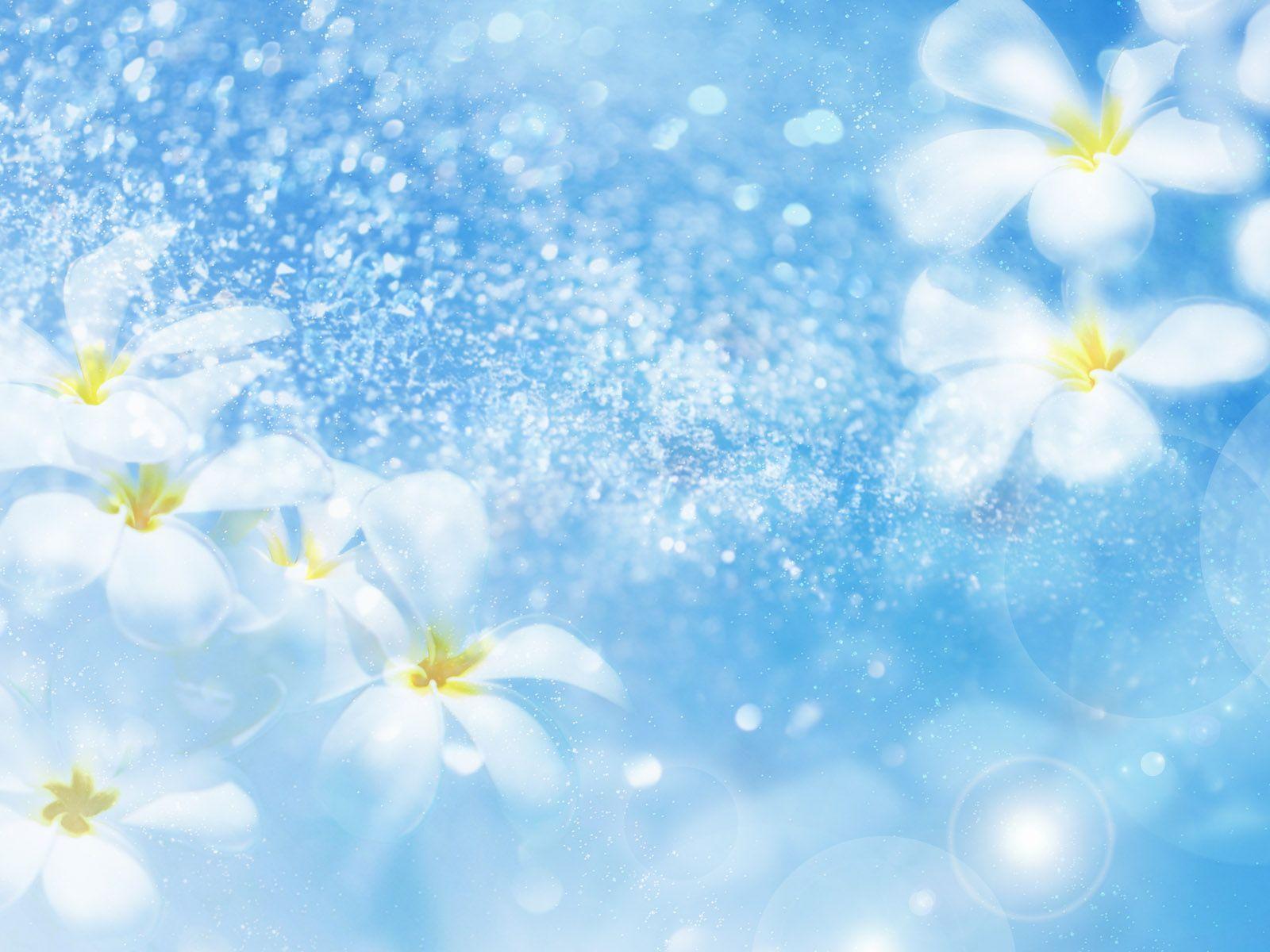 Blue Wedding Wallpapers Top Free Blue Wedding Backgrounds