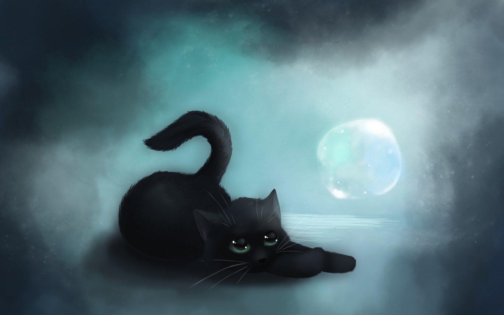 Beautiful Witch Cat Wallpapers Top Free Beautiful Witch Cat Backgrounds WallpaperAccess
