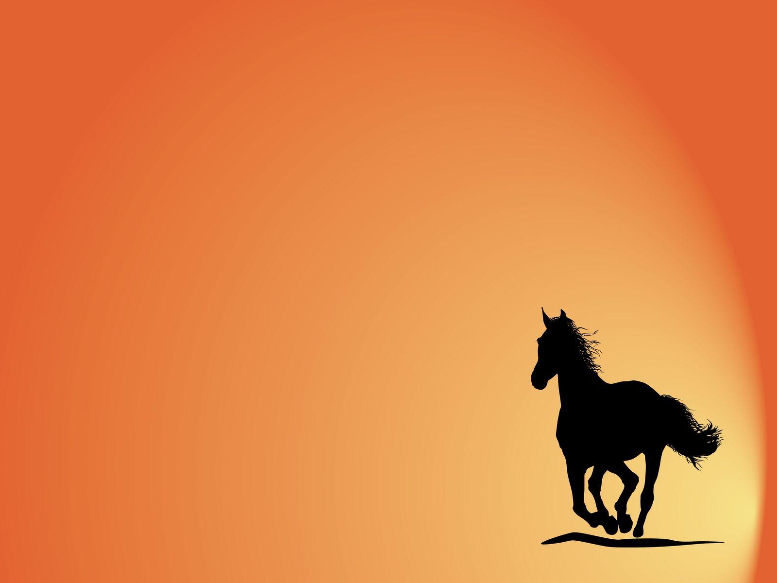 Horse Minimalist Wallpapers Top Free Horse Minimalist Backgrounds