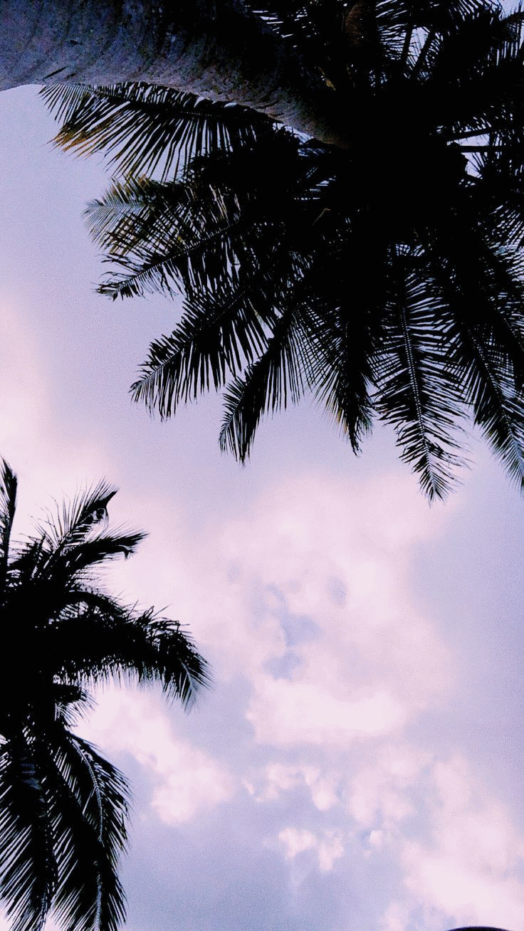 Beach Aesthetic Tumblr Wallpapers Top Free Beach Aesthetic Tumblr