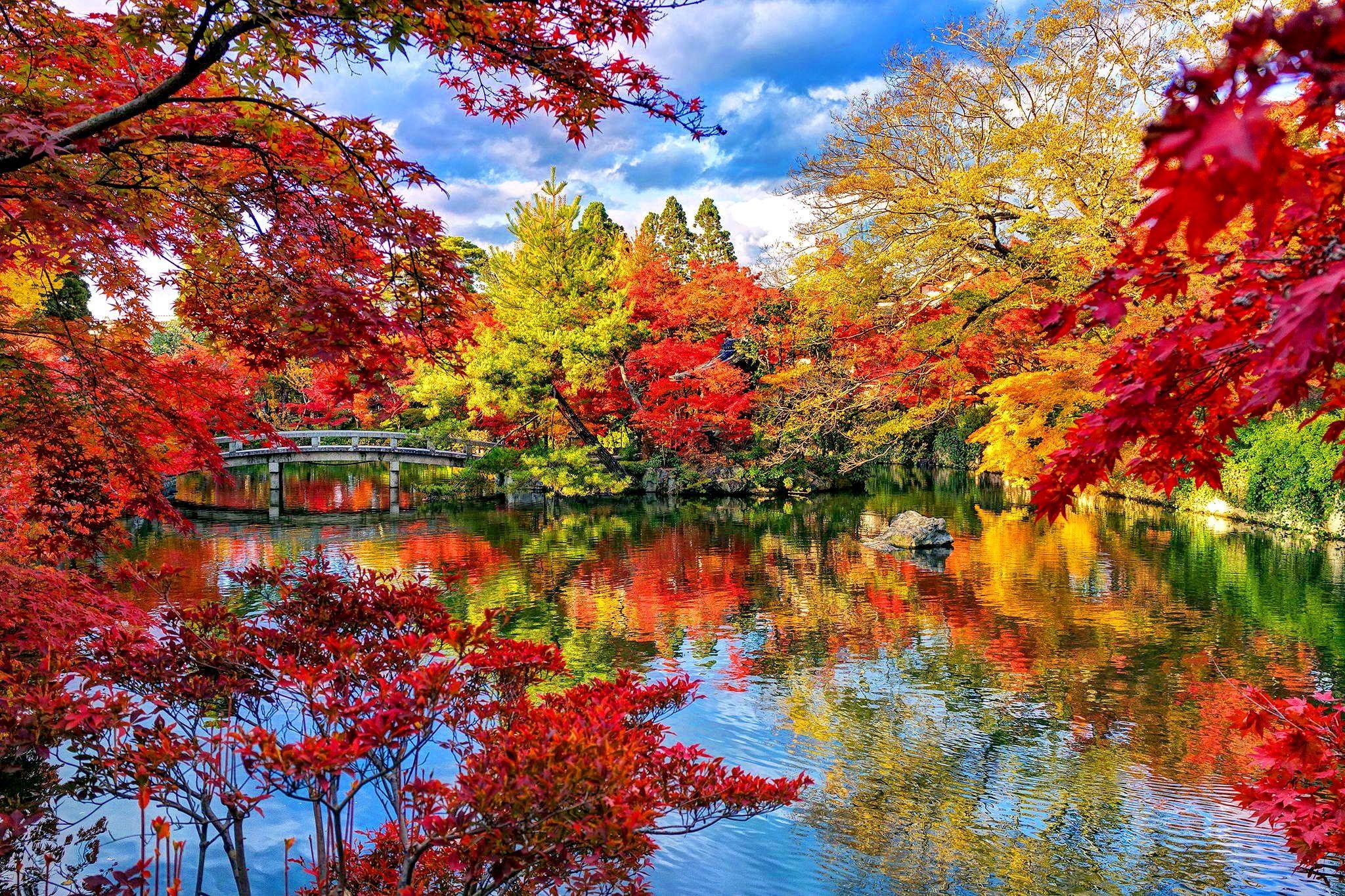 Japanese Fall Wallpapers Top Free Japanese Fall Backgrounds