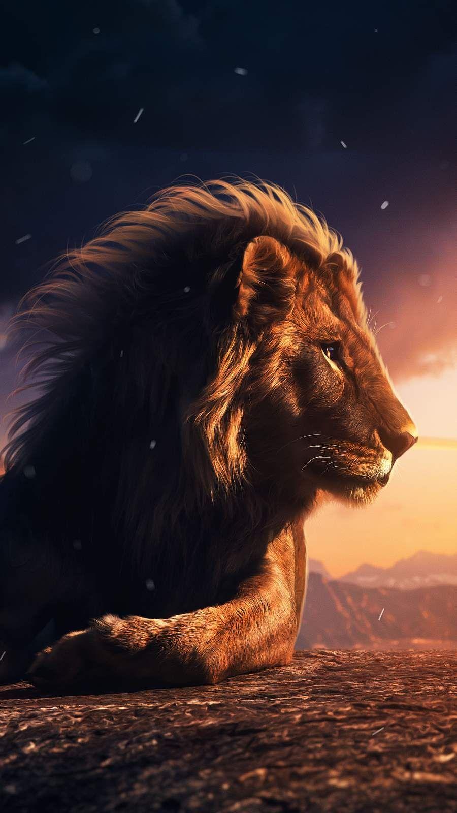 Cute Lion iPhone Wallpapers Top Free Cute Lion iPhone Backgrounds