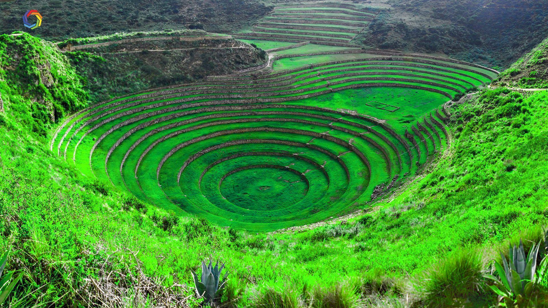 National Geographic 4K Wallpapers Top Free National Geographic 4K