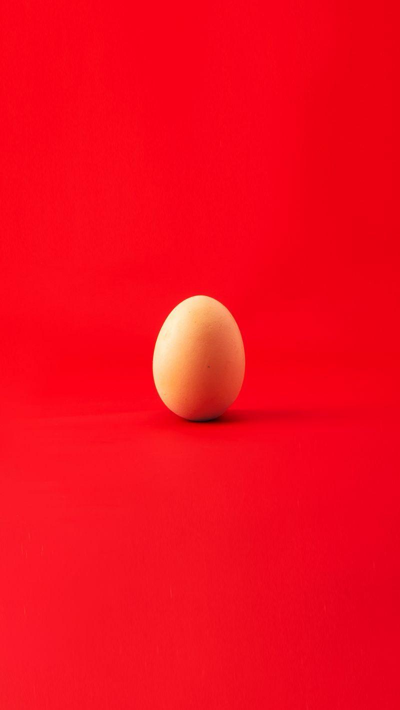 Minimalist Egg Wallpapers Top Free Minimalist Egg Backgrounds