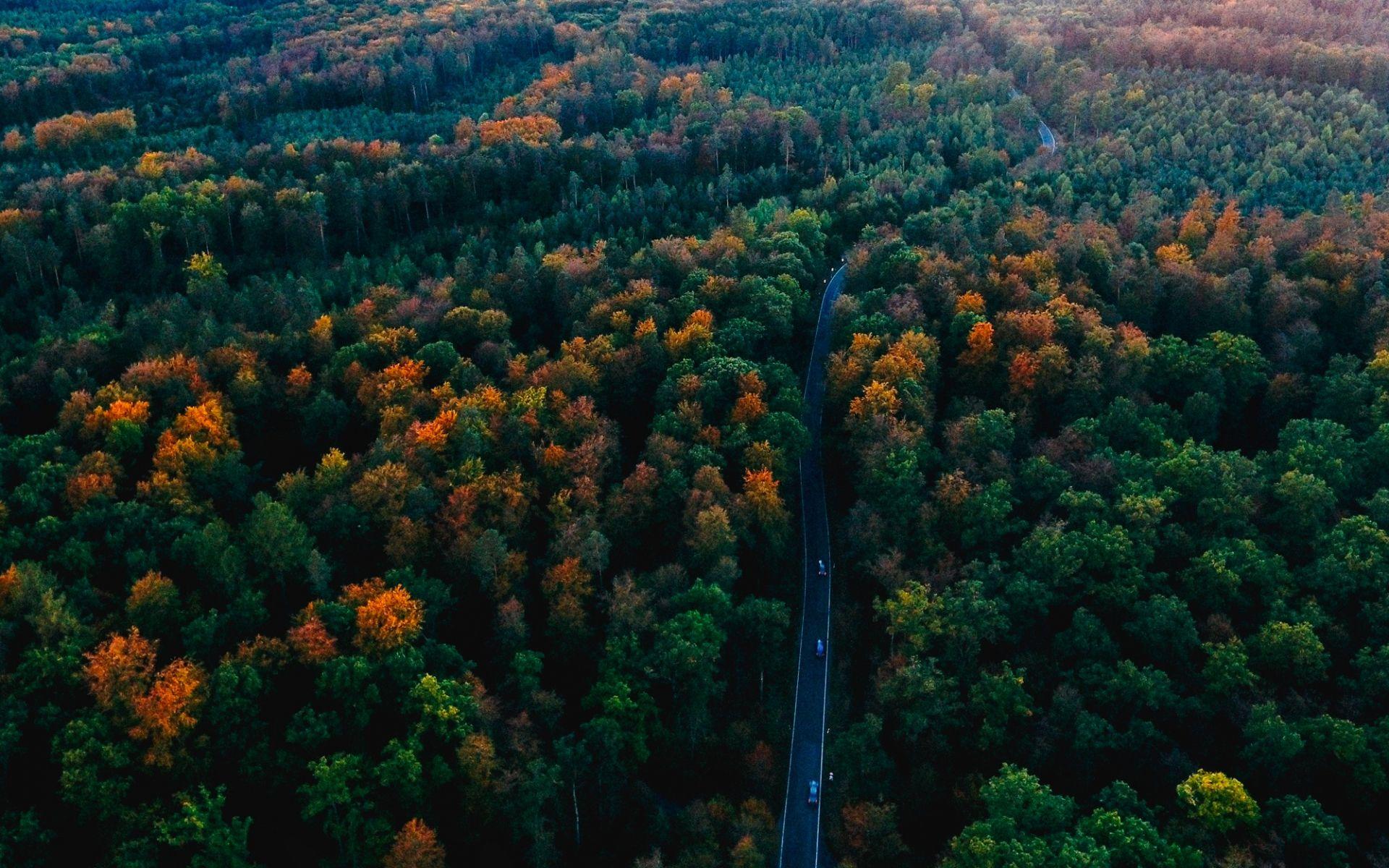 Black Forest Germany Wallpapers Top Free Black Forest Germany