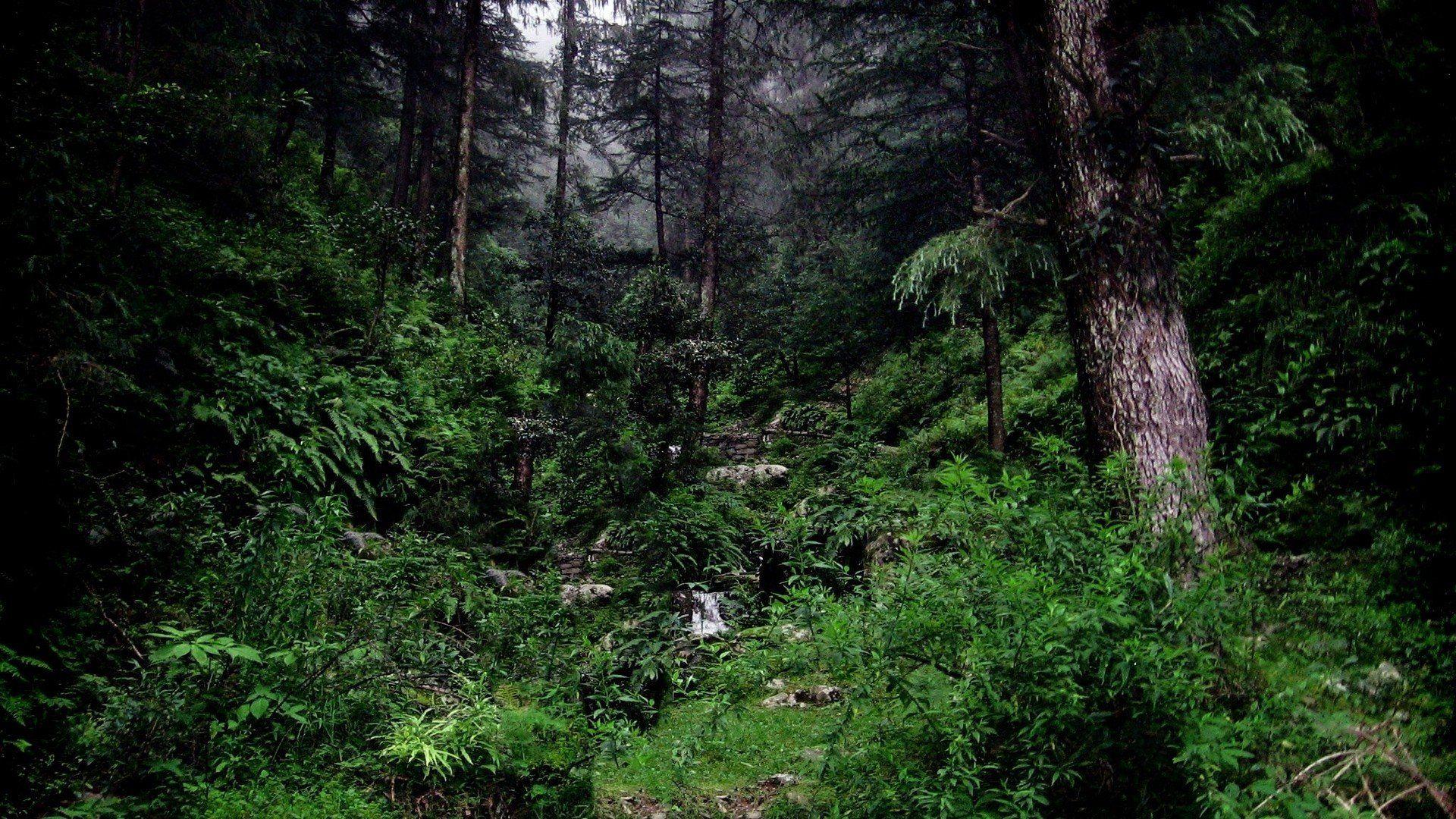 Dark Green Landscape Wallpapers Top Free Dark Green Landscape