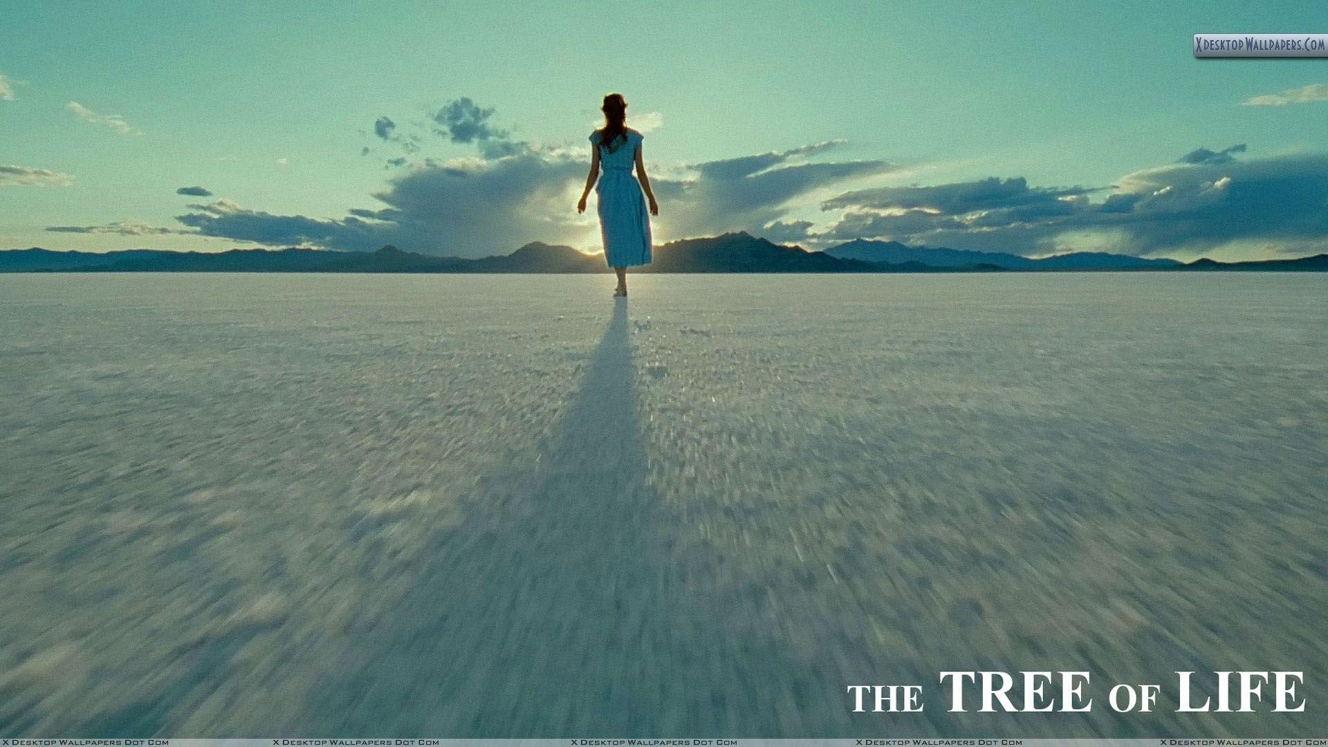 Tree of Life Wallpapers Top Free Tree of Life Backgrounds