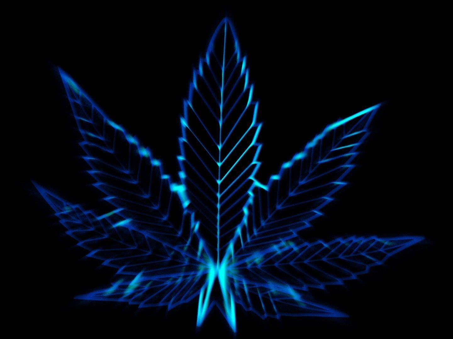 Neon Weed Wallpapers Top Free Neon Weed Backgrounds WallpaperAccess