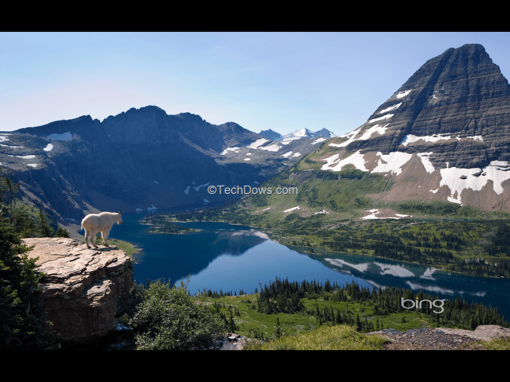 Bing Desktop Not Changing Wallpapers Top Free Bing Desktop Not Changing Backgrounds