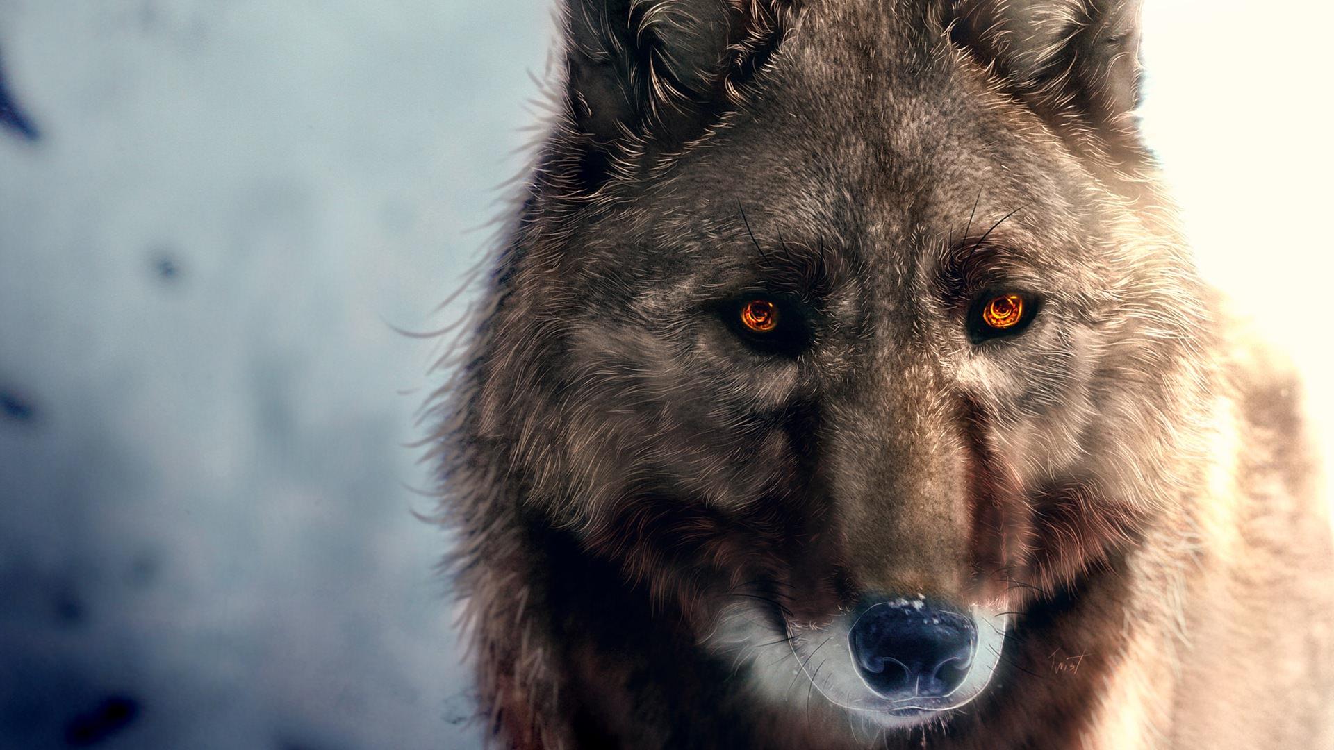 Wolf Art Wallpapers Top Free Wolf Art Backgrounds WallpaperAccess
