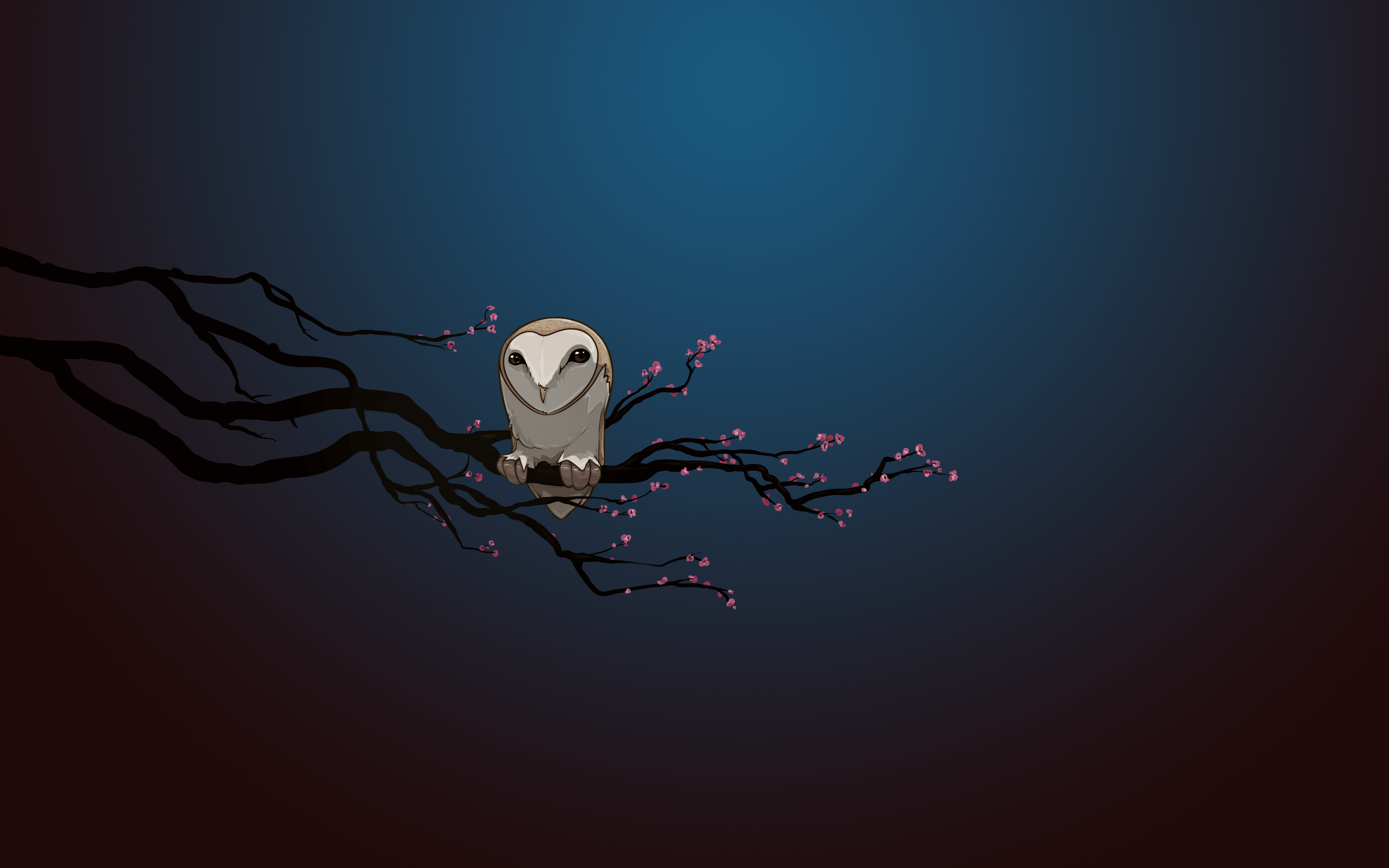 Zen Night Wallpapers Top Free Zen Night Backgrounds WallpaperAccess