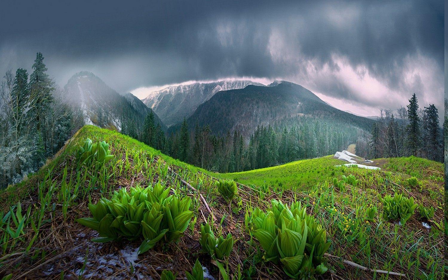 Rainy Mountain Wallpapers Top Free Rainy Mountain Backgrounds