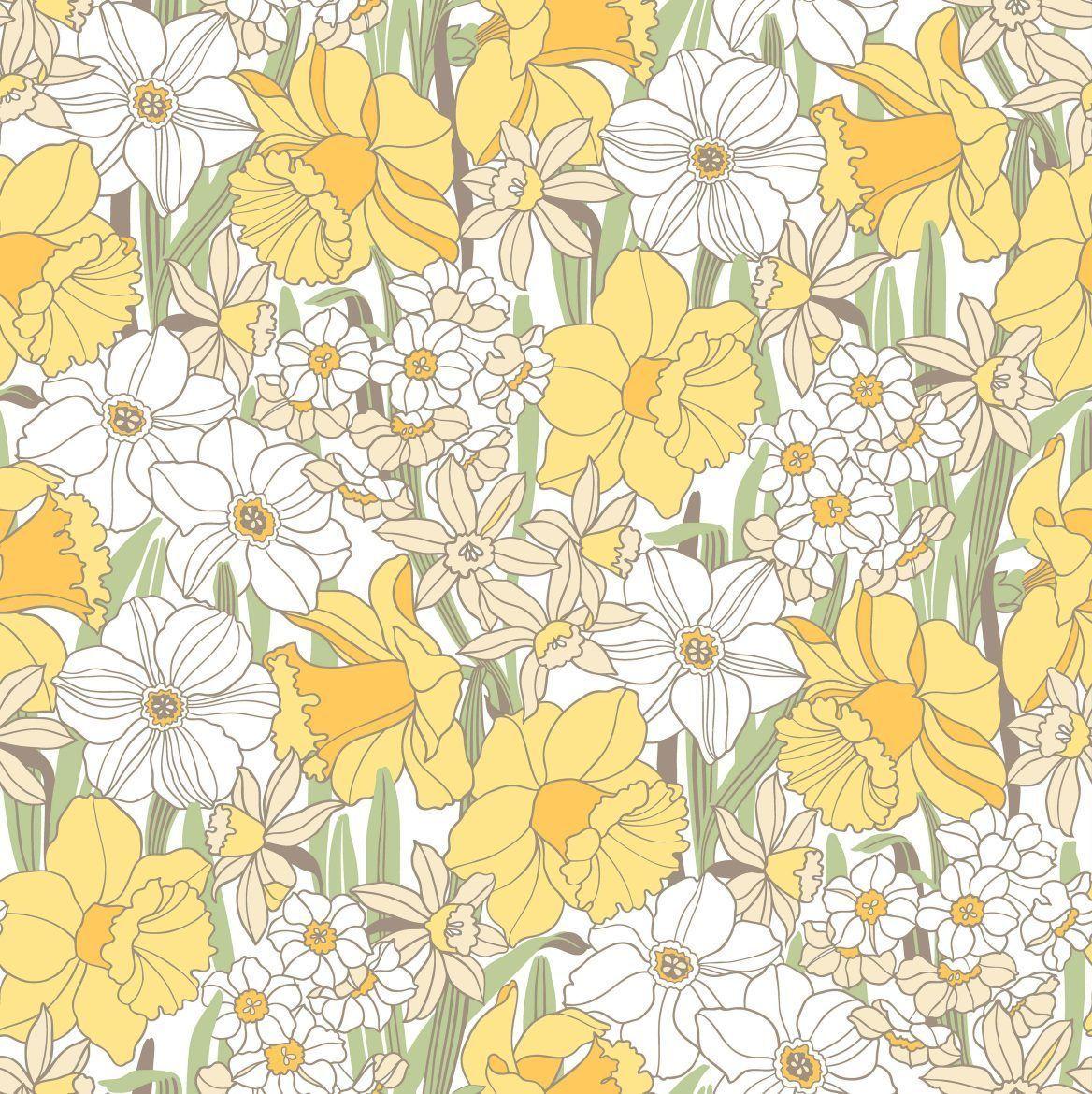 Daffodils Wallpapers Top Free Daffodils Backgrounds WallpaperAccess