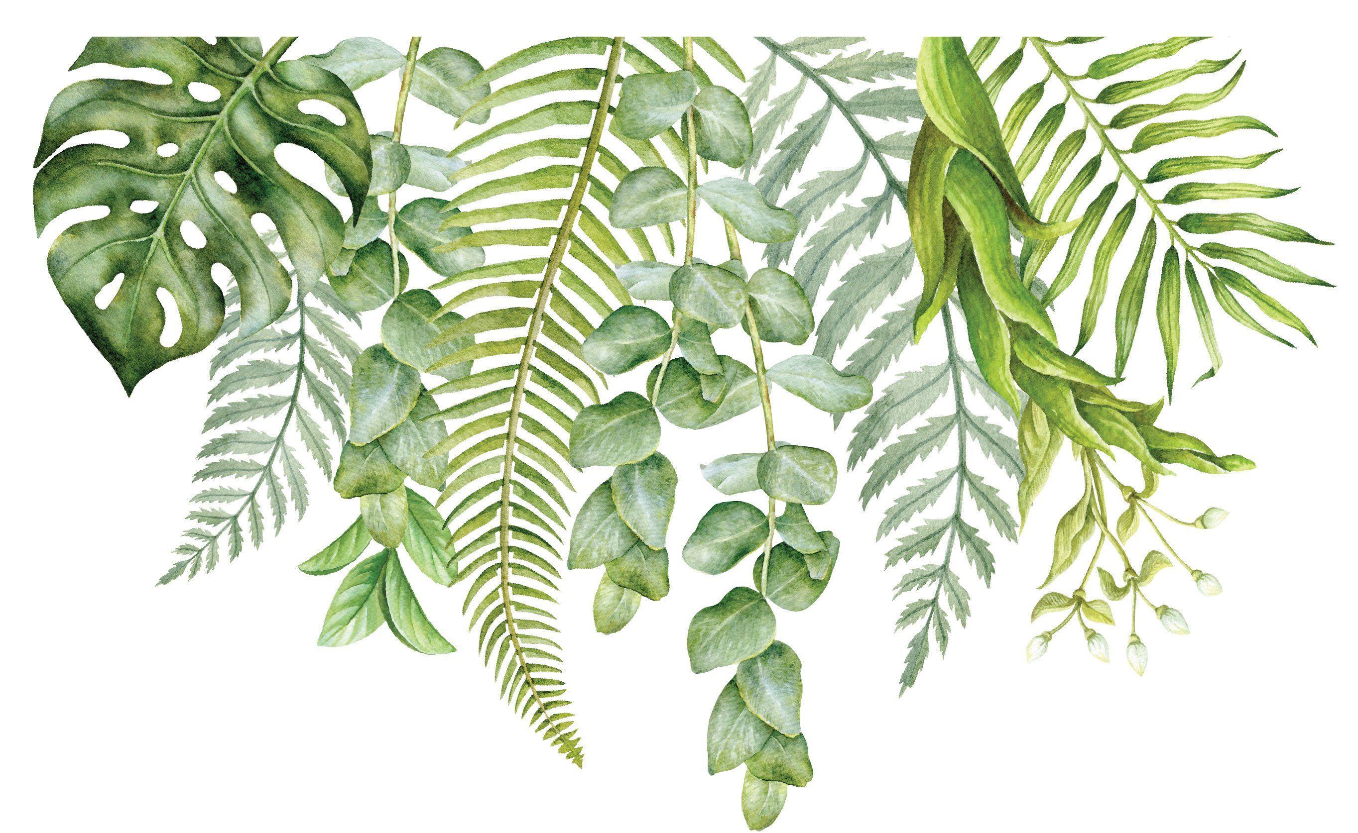 Watercolor Leaves Desktop Wallpapers Top Free Watercolor Leaves