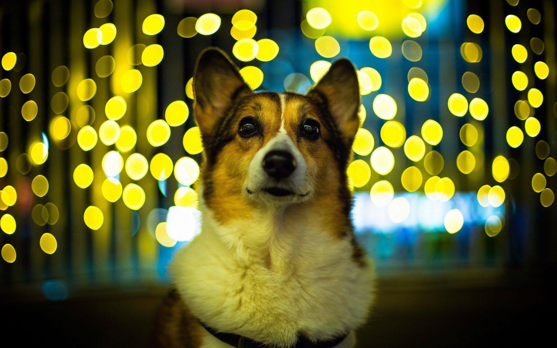 Aesthetic Wallpapers Top Free Aesthetic