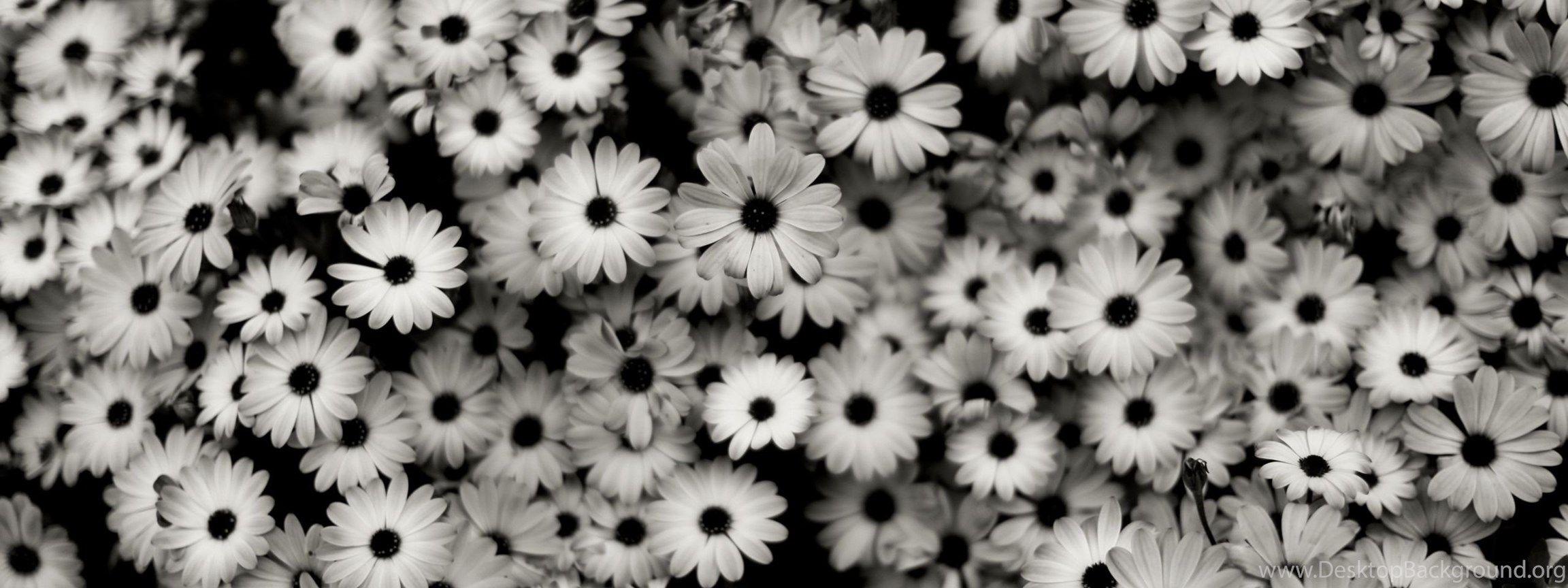 Flower Dual Monitor Wallpapers Top Free Flower Dual Monitor