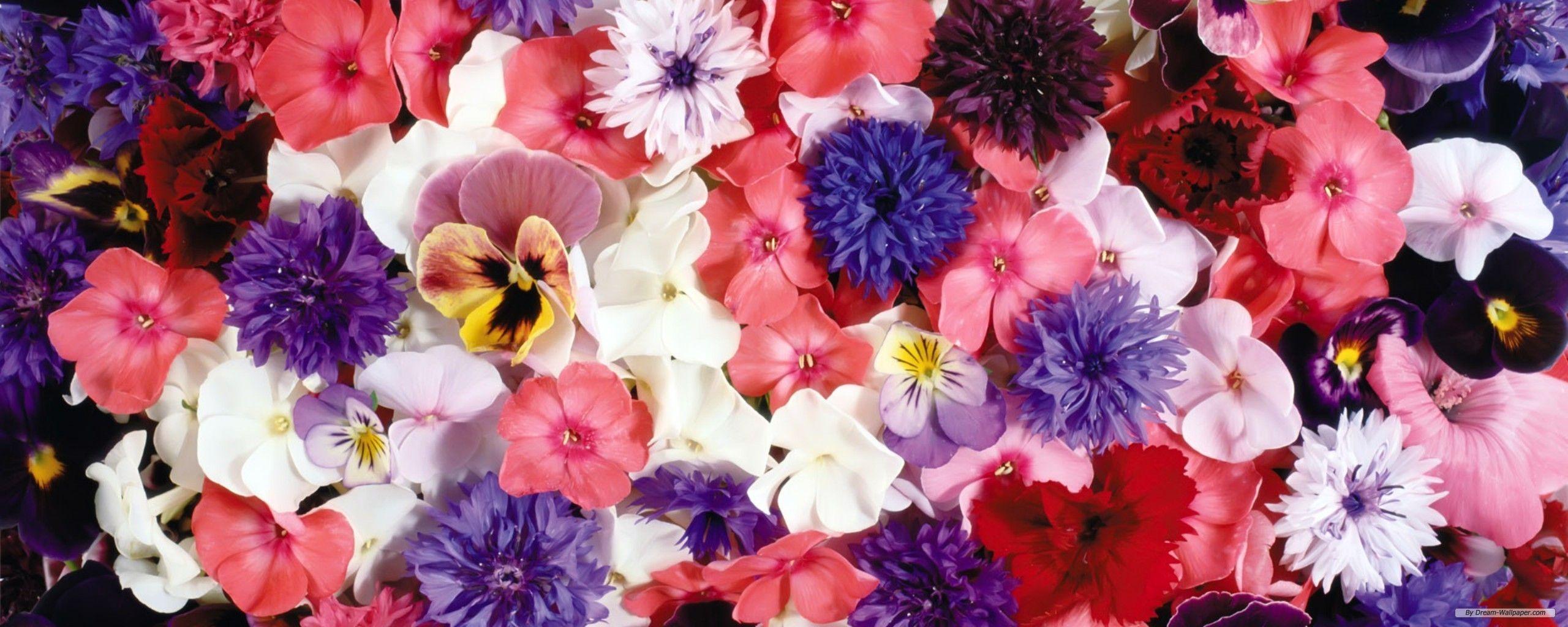 Flower Dual Monitor Wallpapers Top Free Flower Dual Monitor