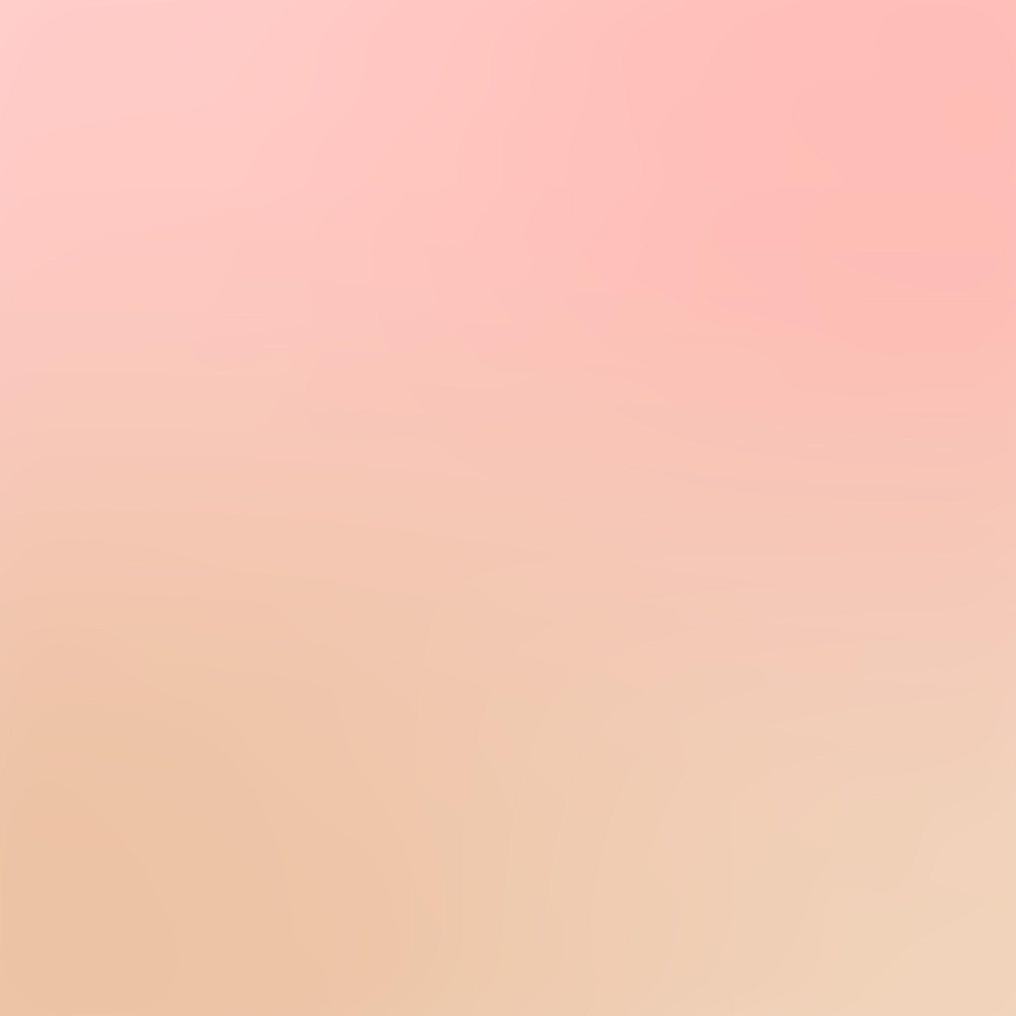 Peach Pink Wallpapers Top Free Peach Pink Backgrounds WallpaperAccess