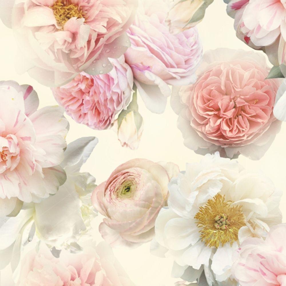 Blush Floral Wallpapers Top Free Blush Floral Backgrounds