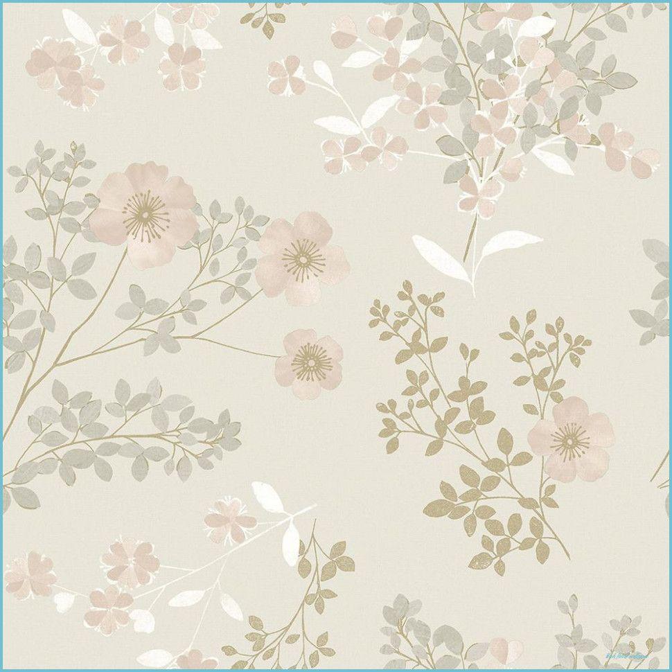 Blush Floral Wallpapers Top Free Blush Floral Backgrounds
