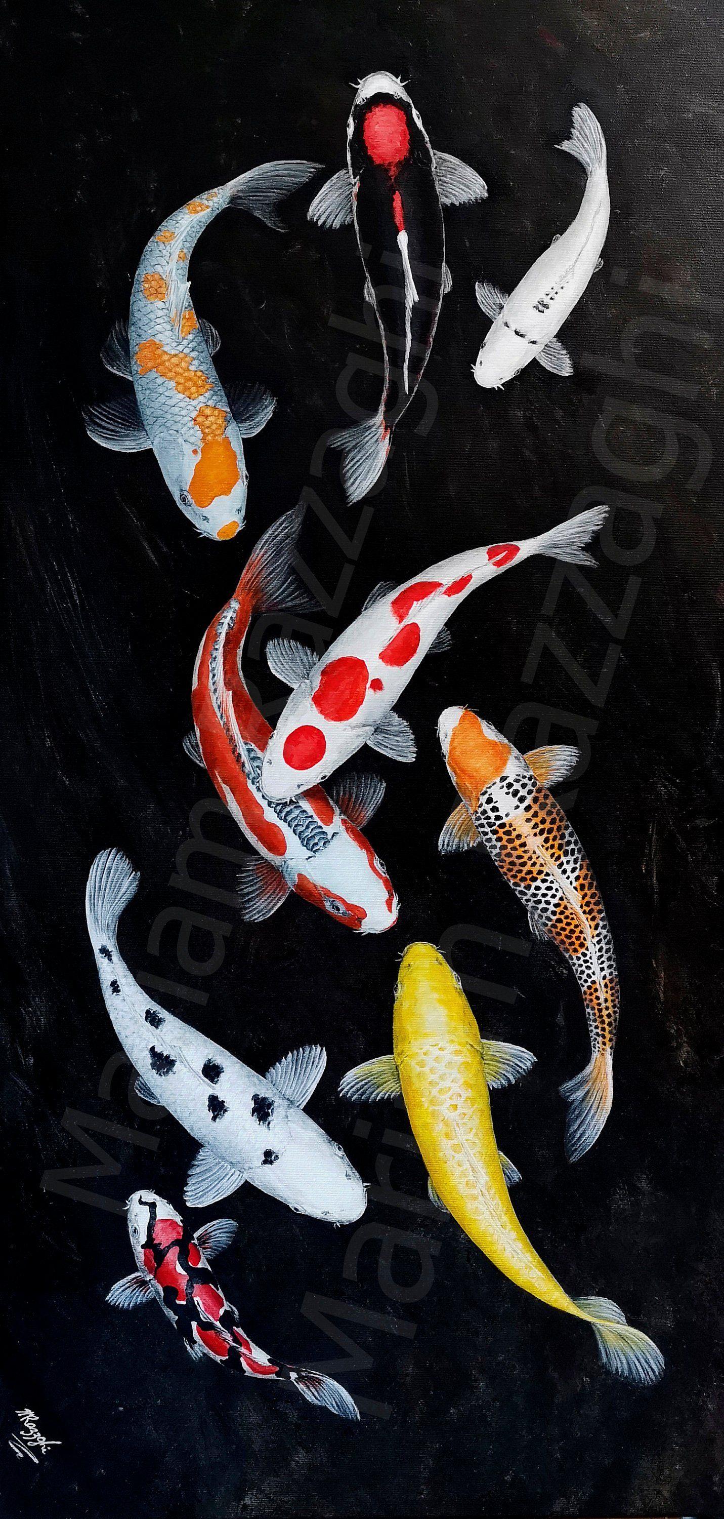 Koi Fish Phone Wallpapers Top Free Koi Fish Phone Backgrounds
