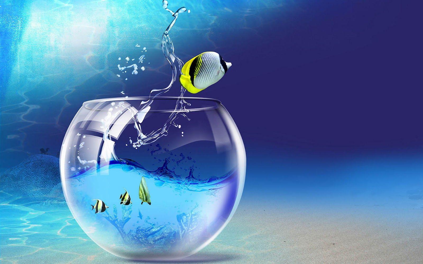 HD Profile Wallpapers Top Free HD Profile Backgrounds WallpaperAccess