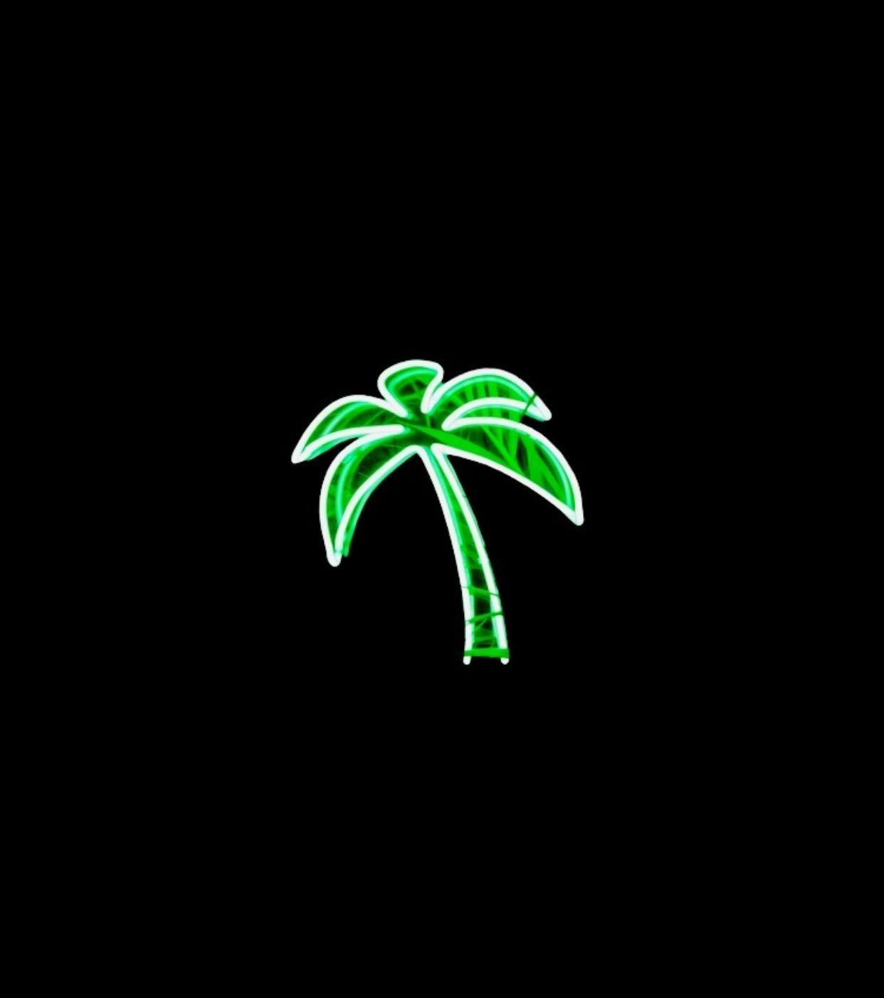 Neon Palm Tree Wallpapers Top Free Neon Palm Tree Backgrounds