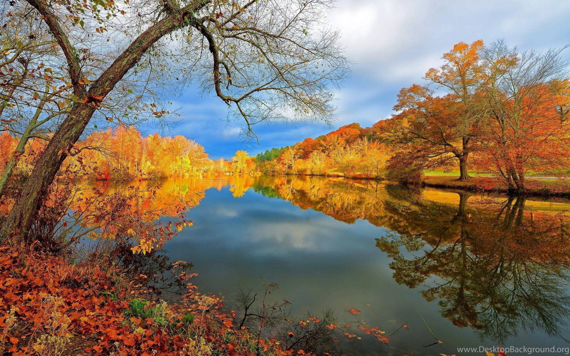 Beautiful Yellow Nature Wallpapers Top Free Beautiful Yellow Nature