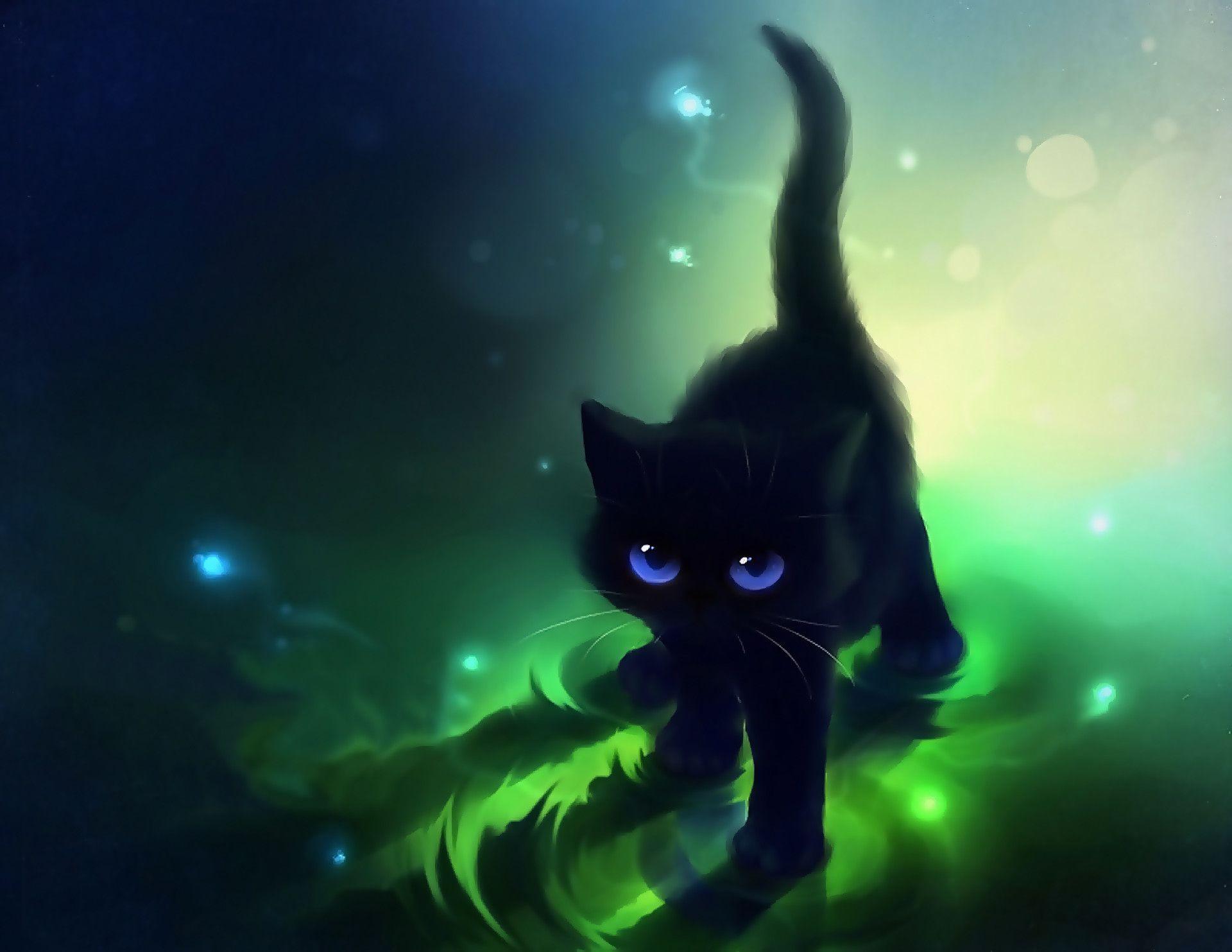 Black Cat Blue Eyes Wallpapers Top Free Black Cat Blue Eyes