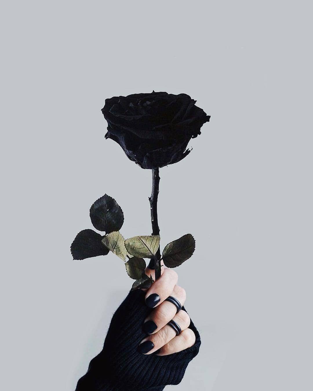 Emo Roses Wallpapers Top Free Emo Roses Backgrounds WallpaperAccess