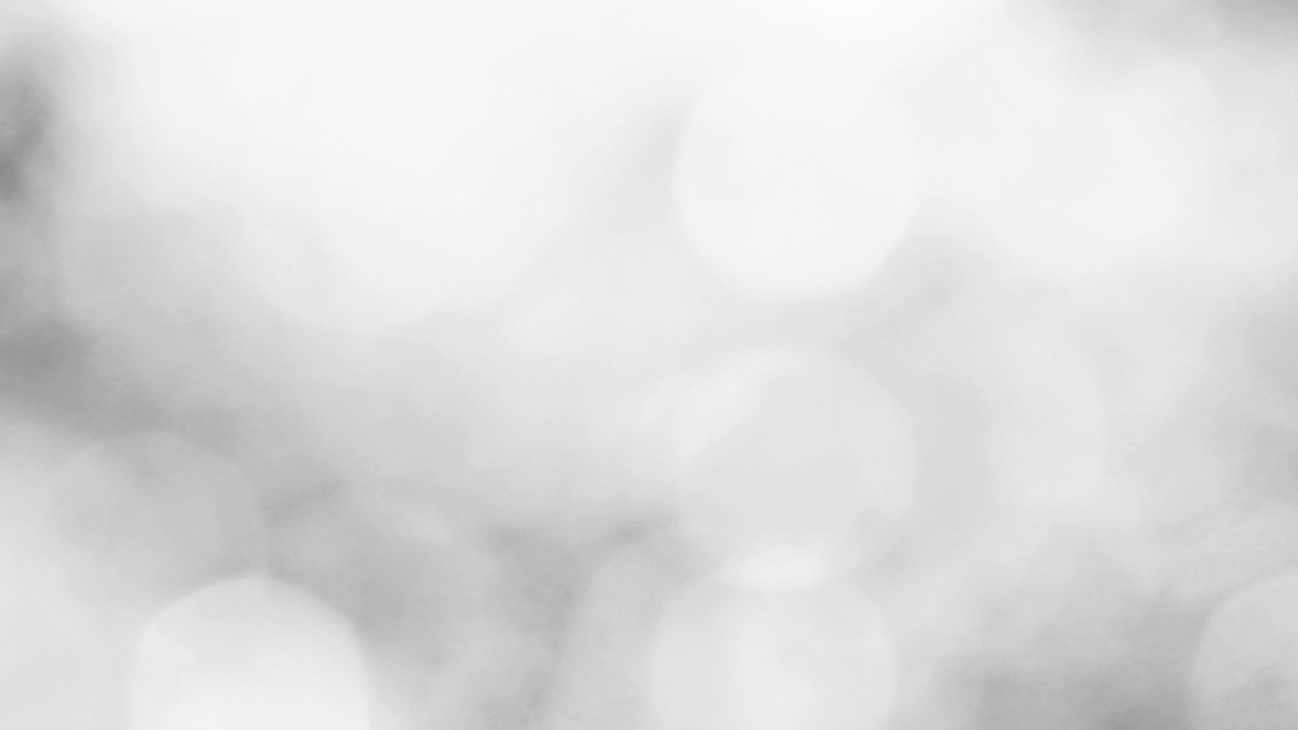 2560X1440 Light Grey Wallpapers Top Free 2560X1440 Light Grey Backgrounds WallpaperAccess